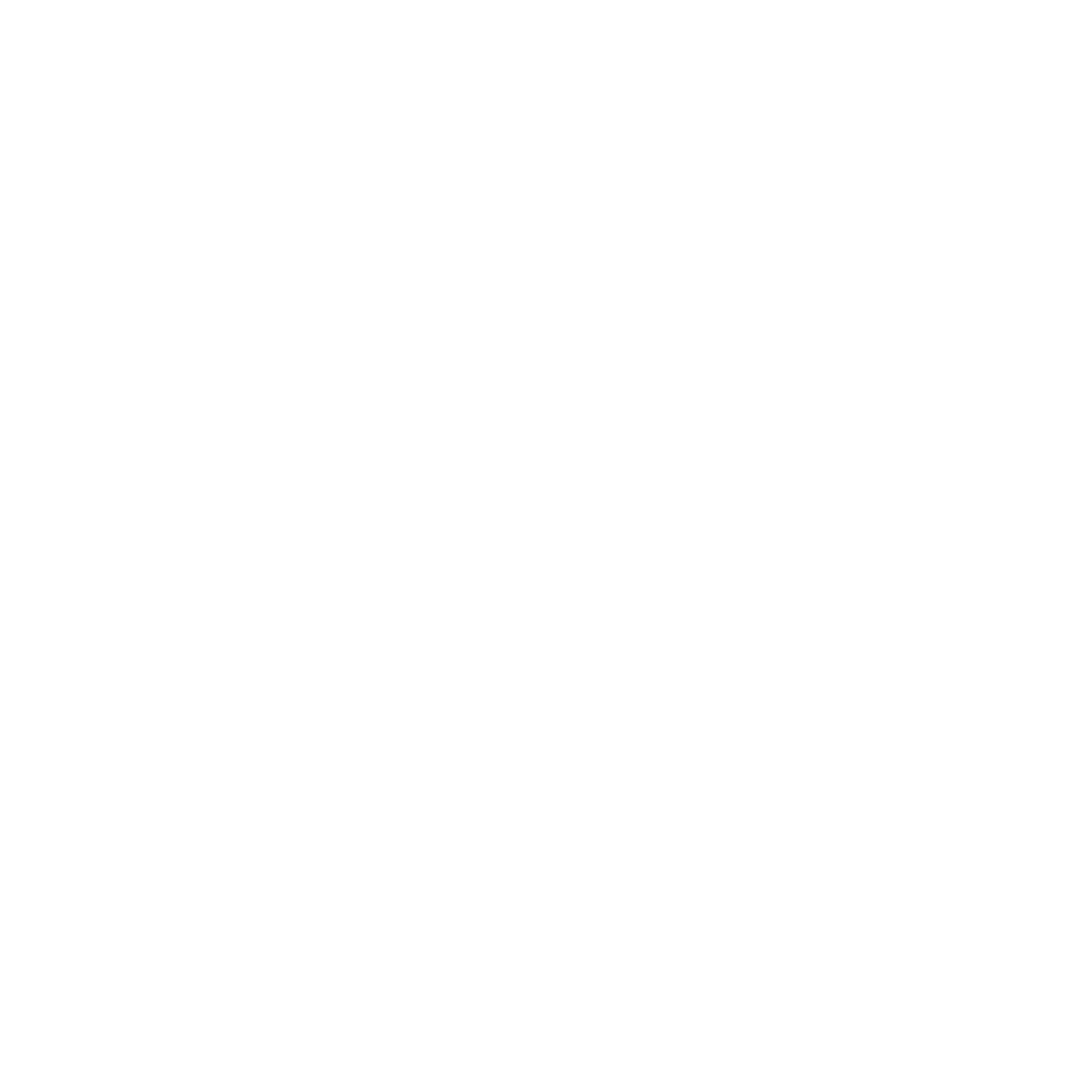 SimuFlite Logo black and white