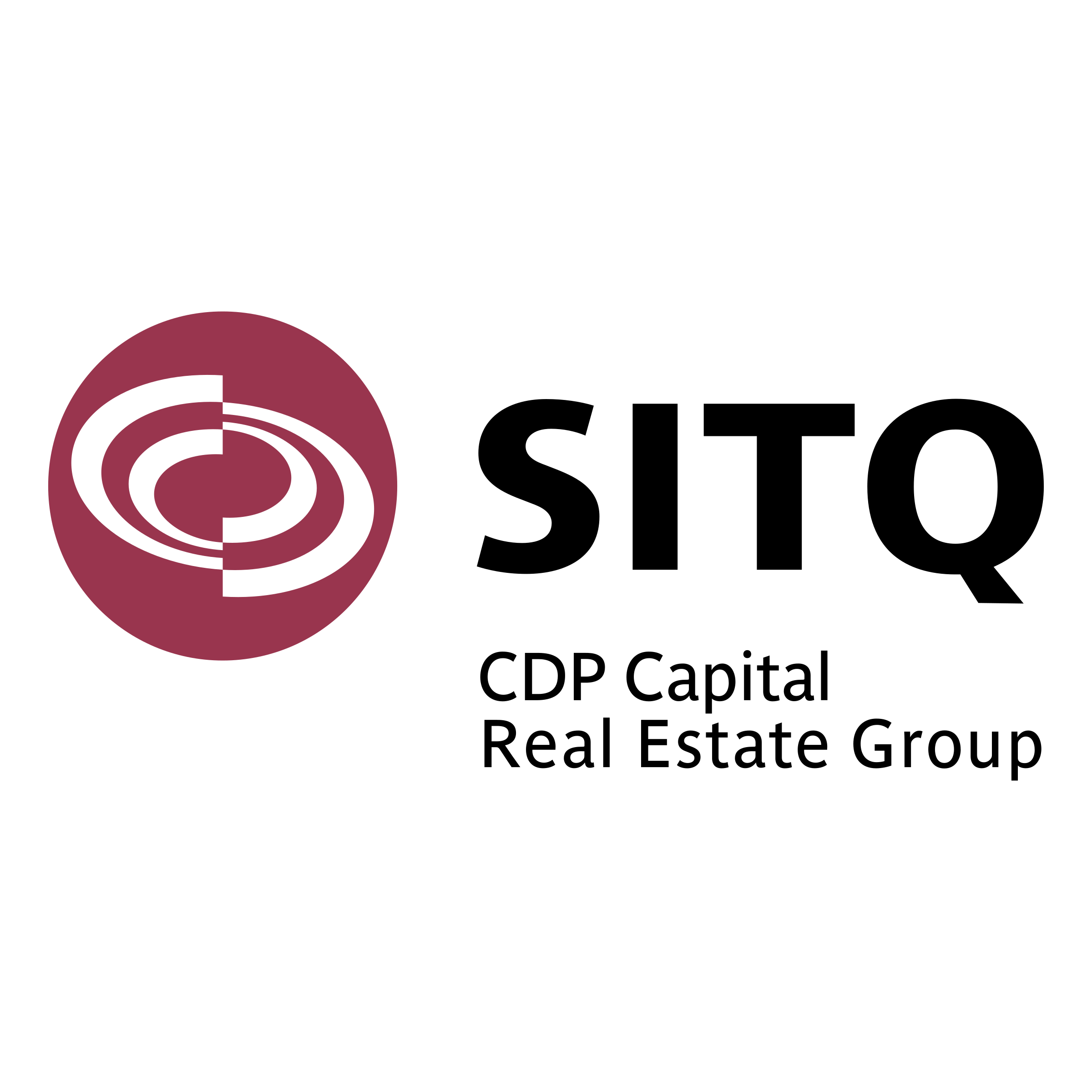 SITQ Logo png transparent