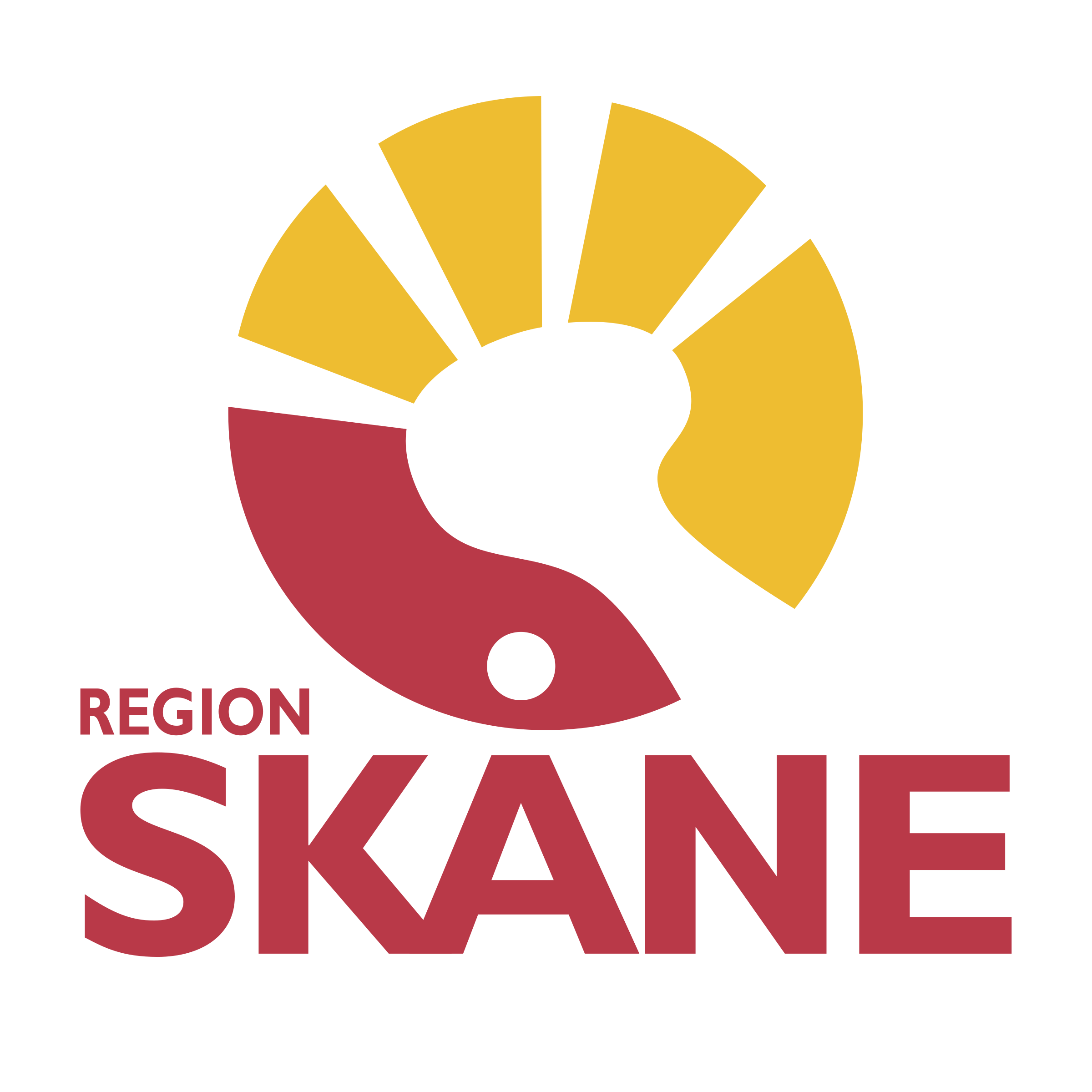 Skane Logo png transparent