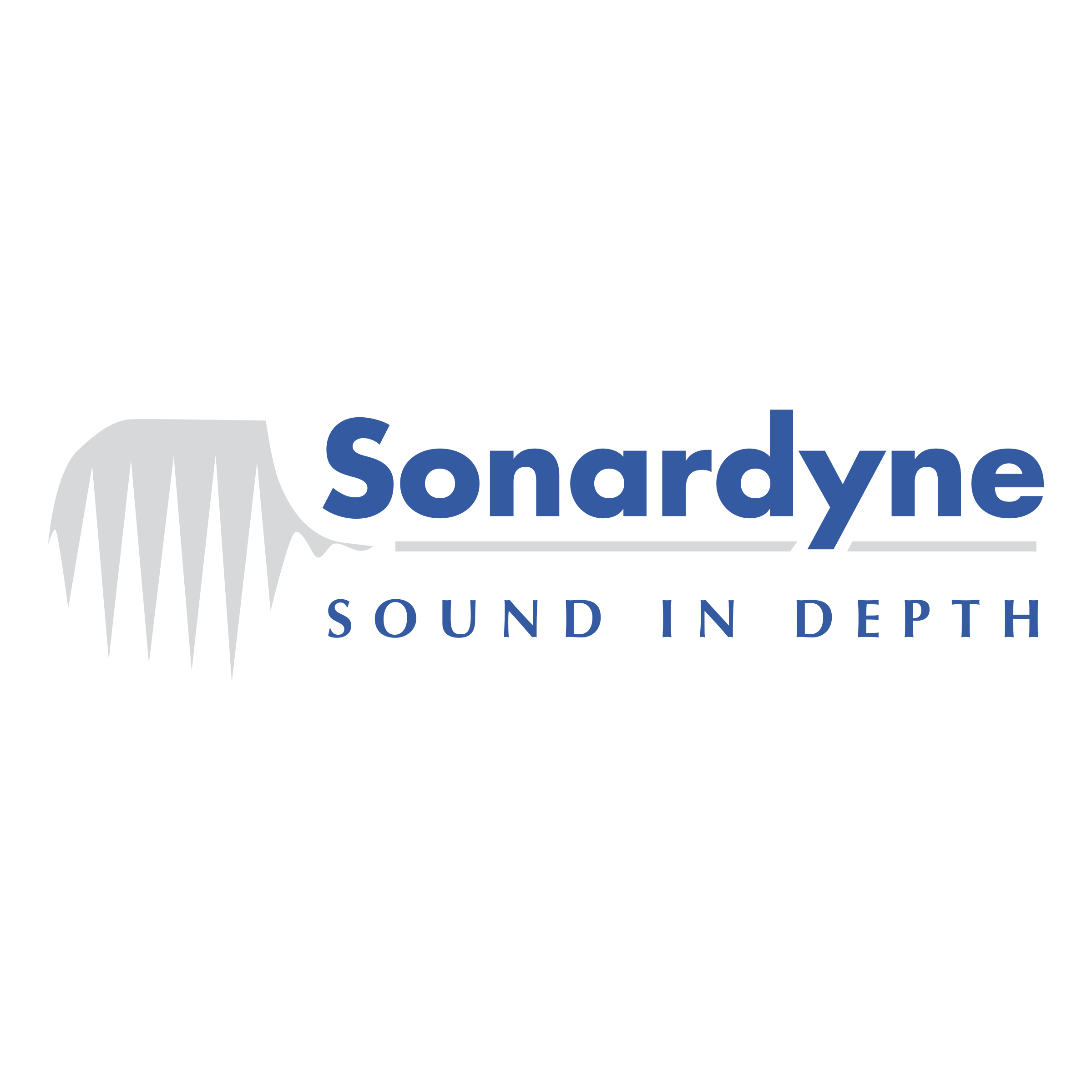 Sonardyne Logo png transparent