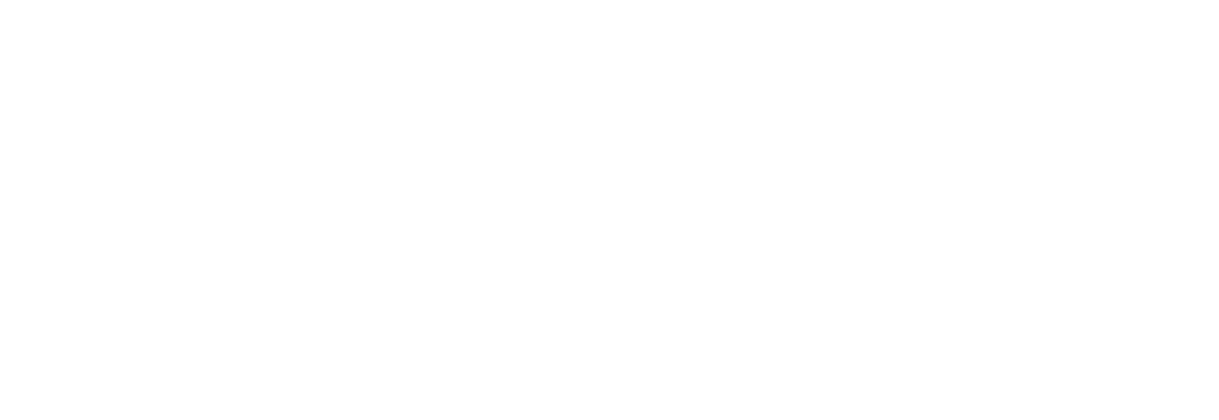 Spark Logo black and white