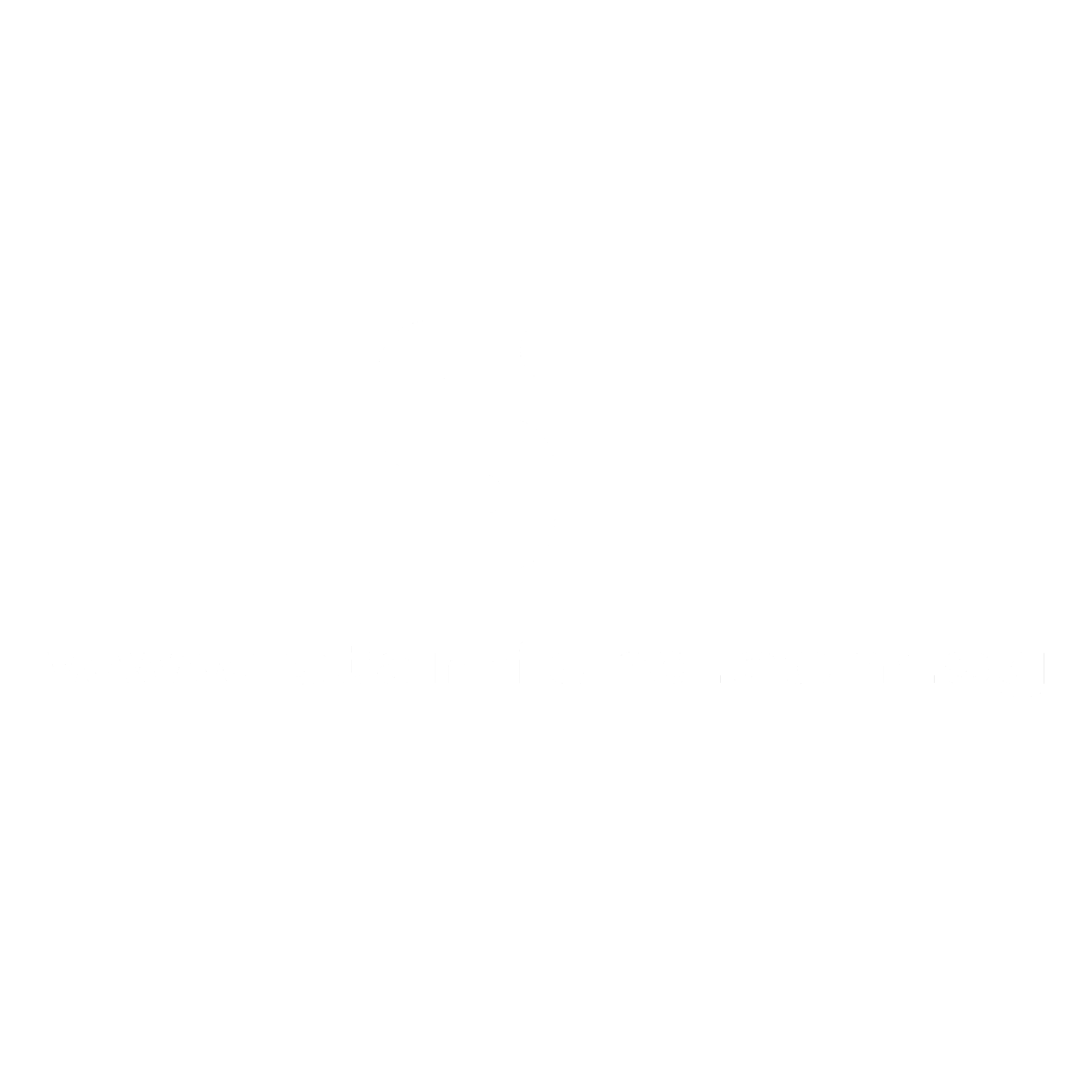 Stamford Technologies Team Logo black and white