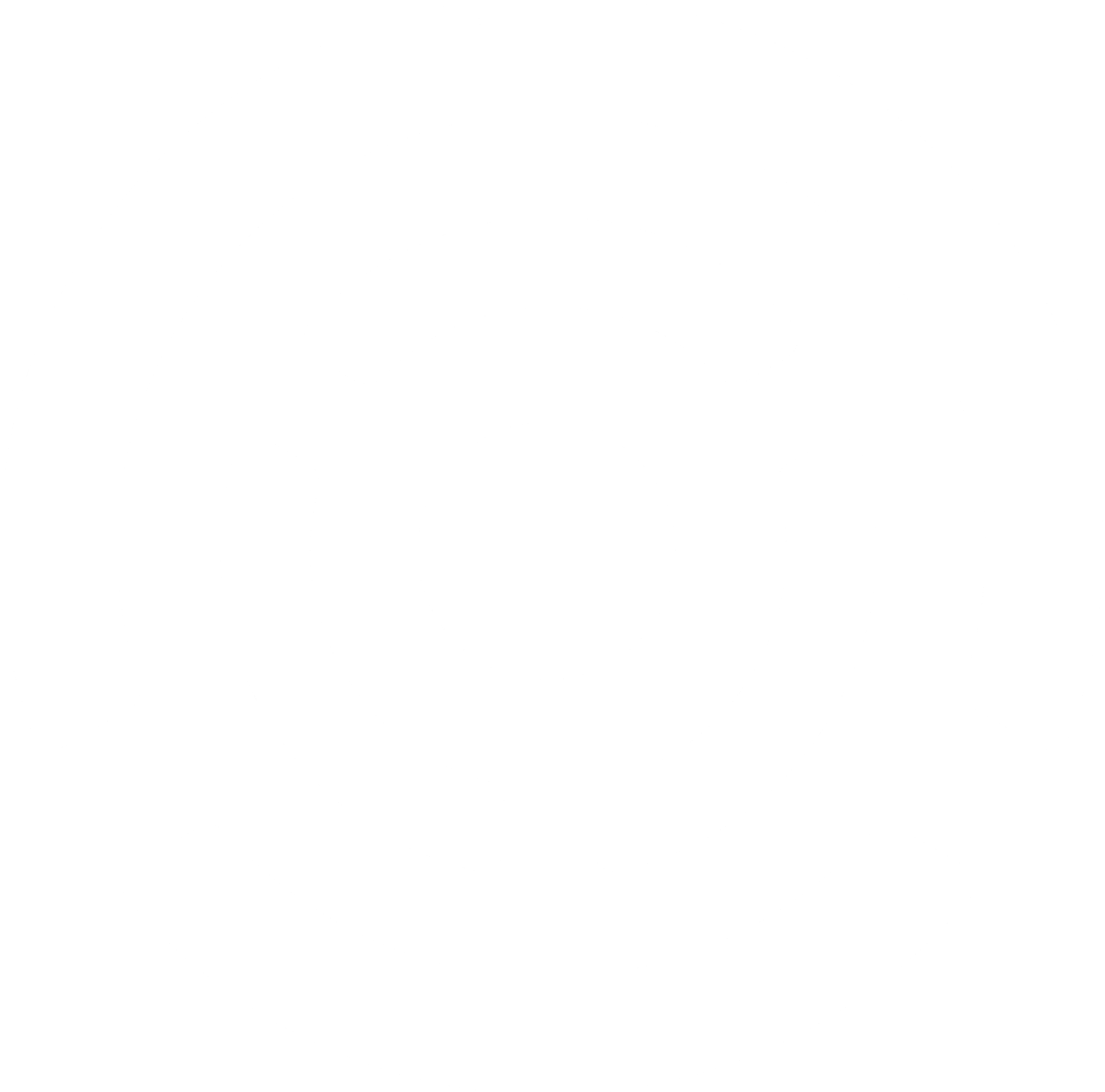 Stash Logo black and white