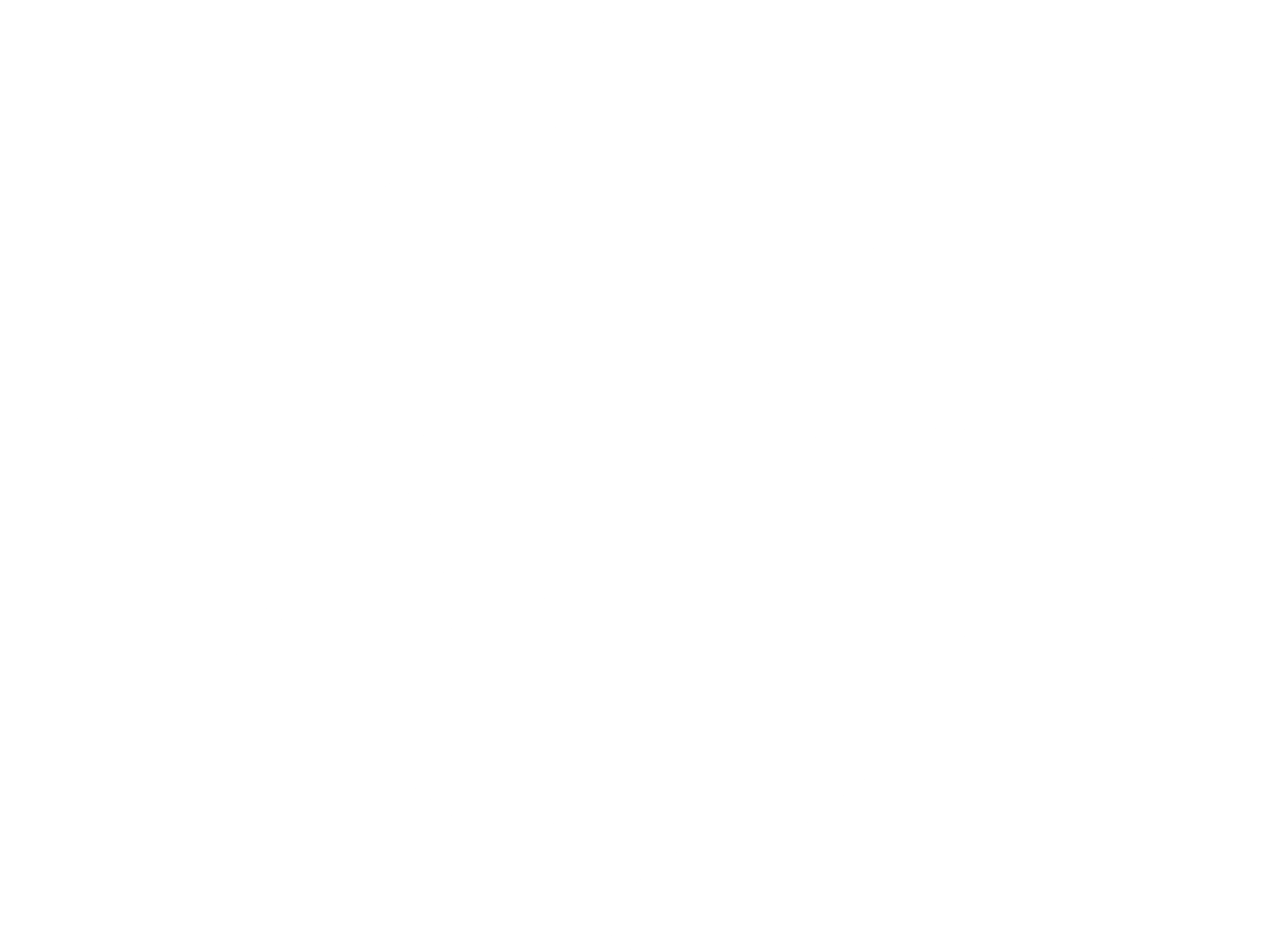 Ster Logo black and white