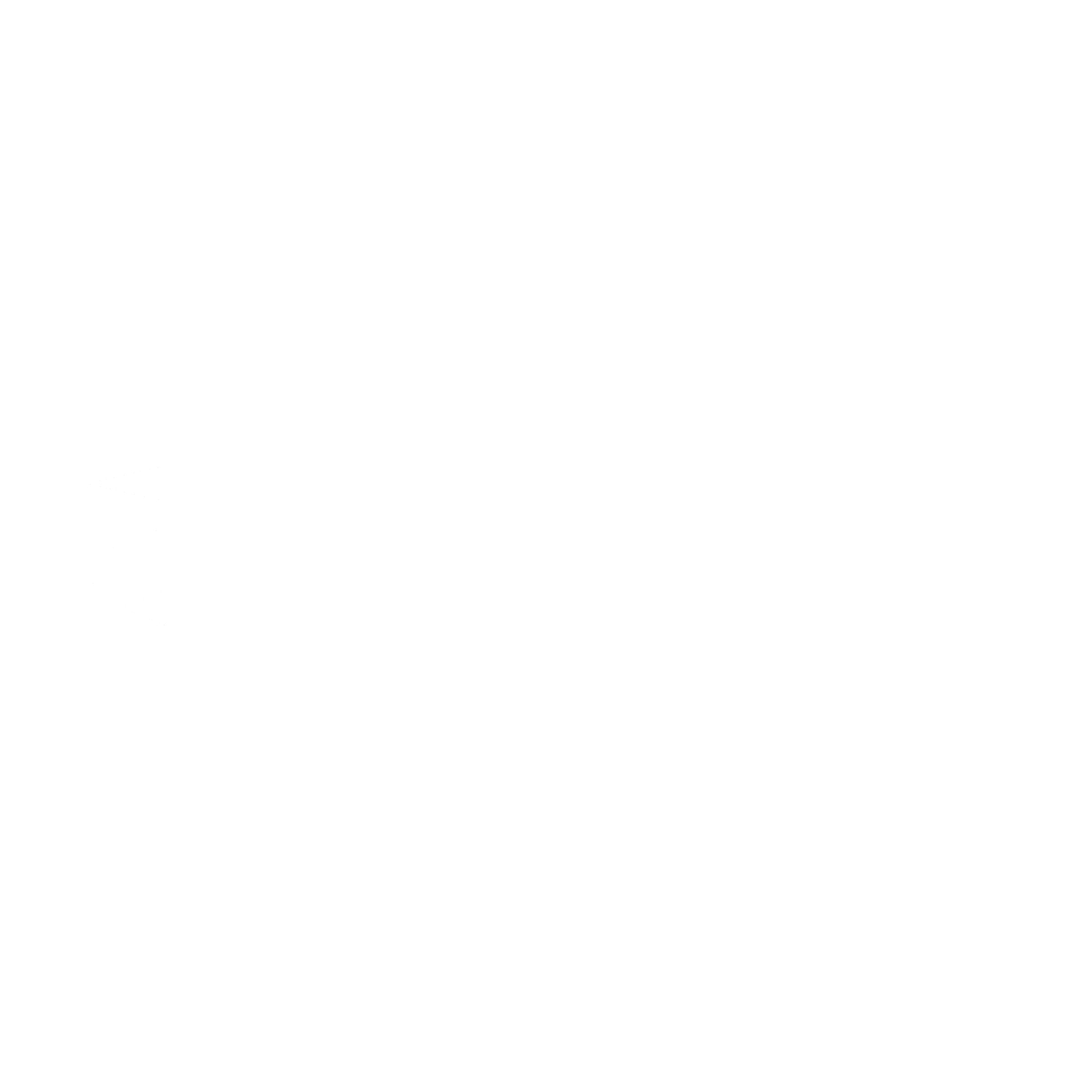 Surface Engineered Products Logo black and white