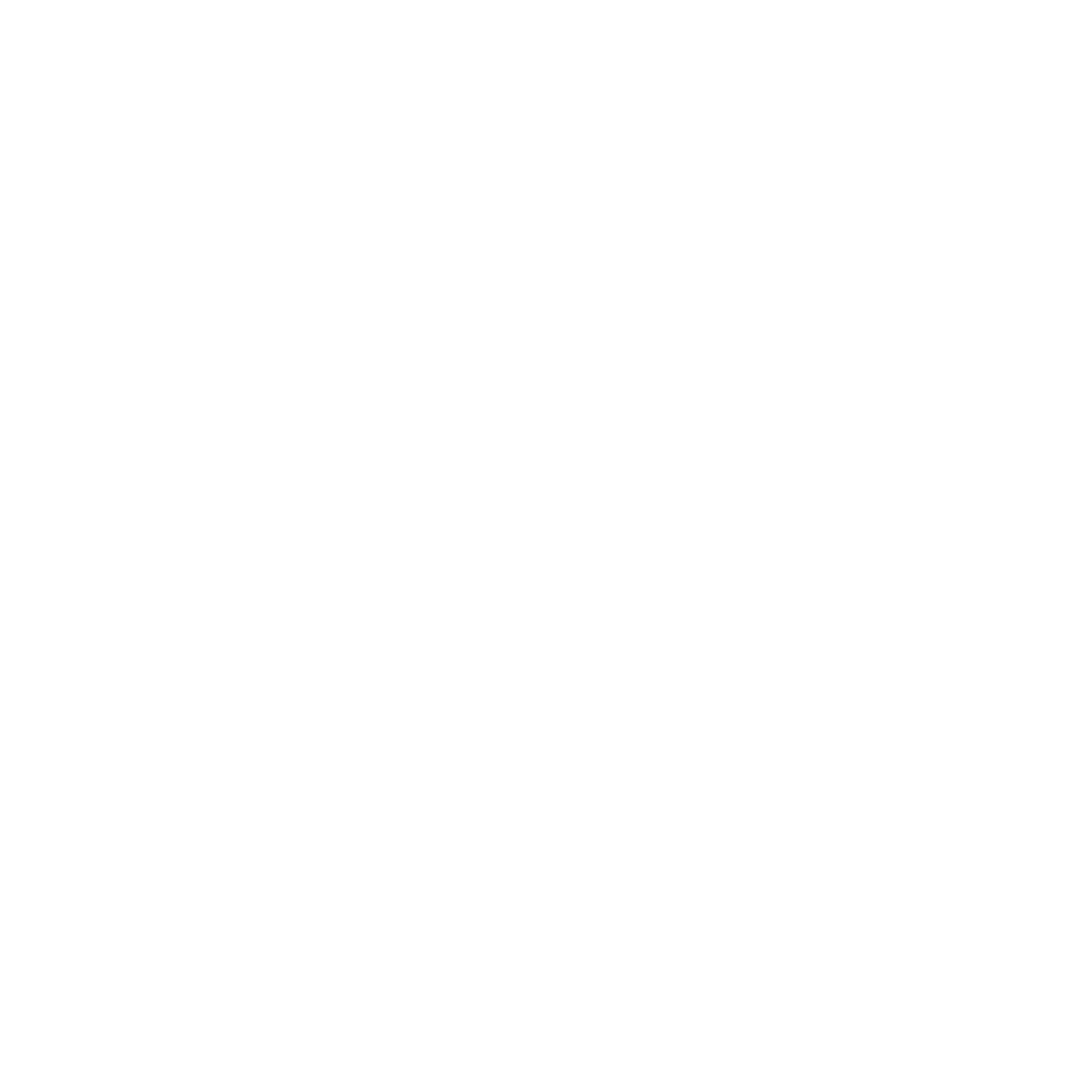 Synergy Software Logo black and white