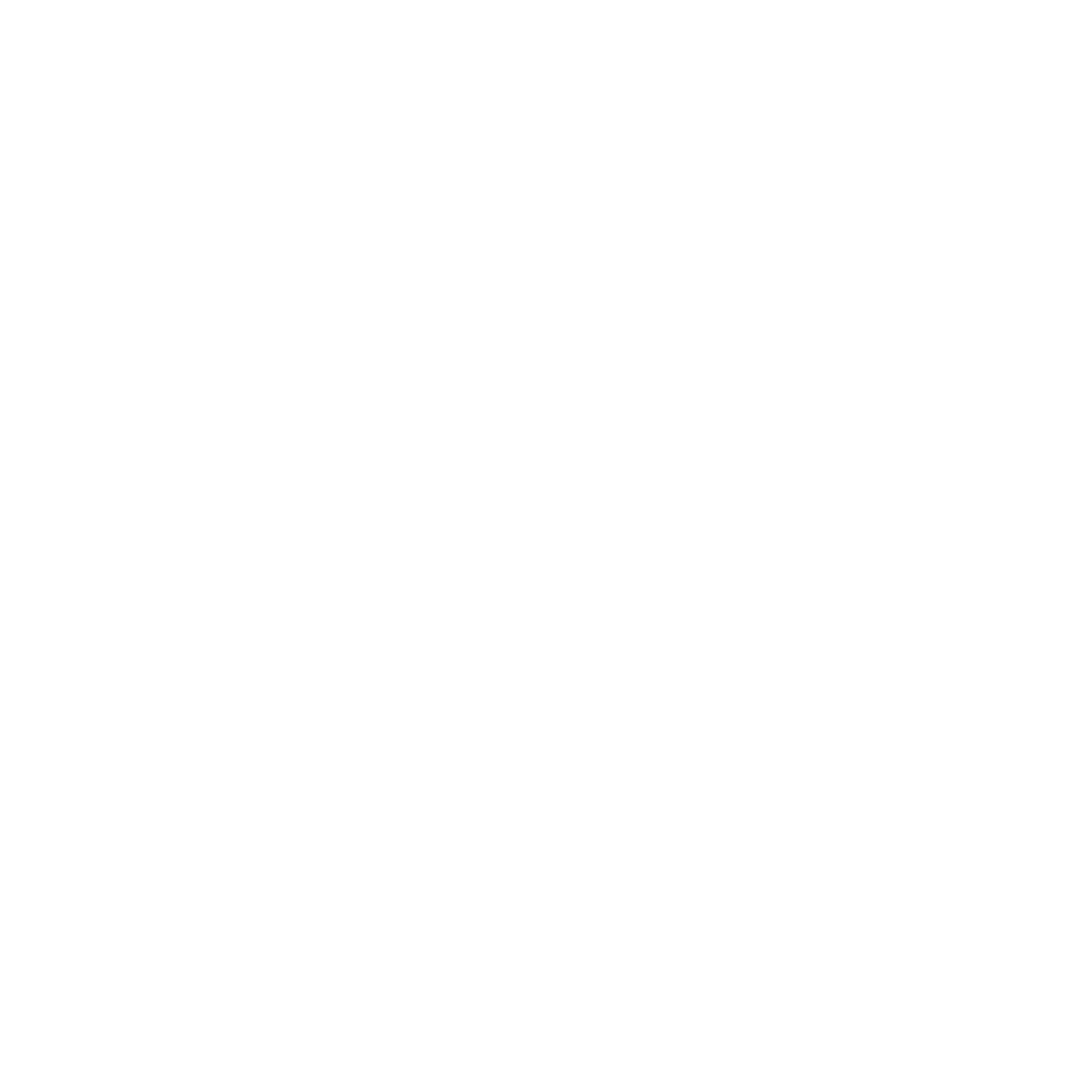 Taffeta Nylon Alpinus Logo black and white