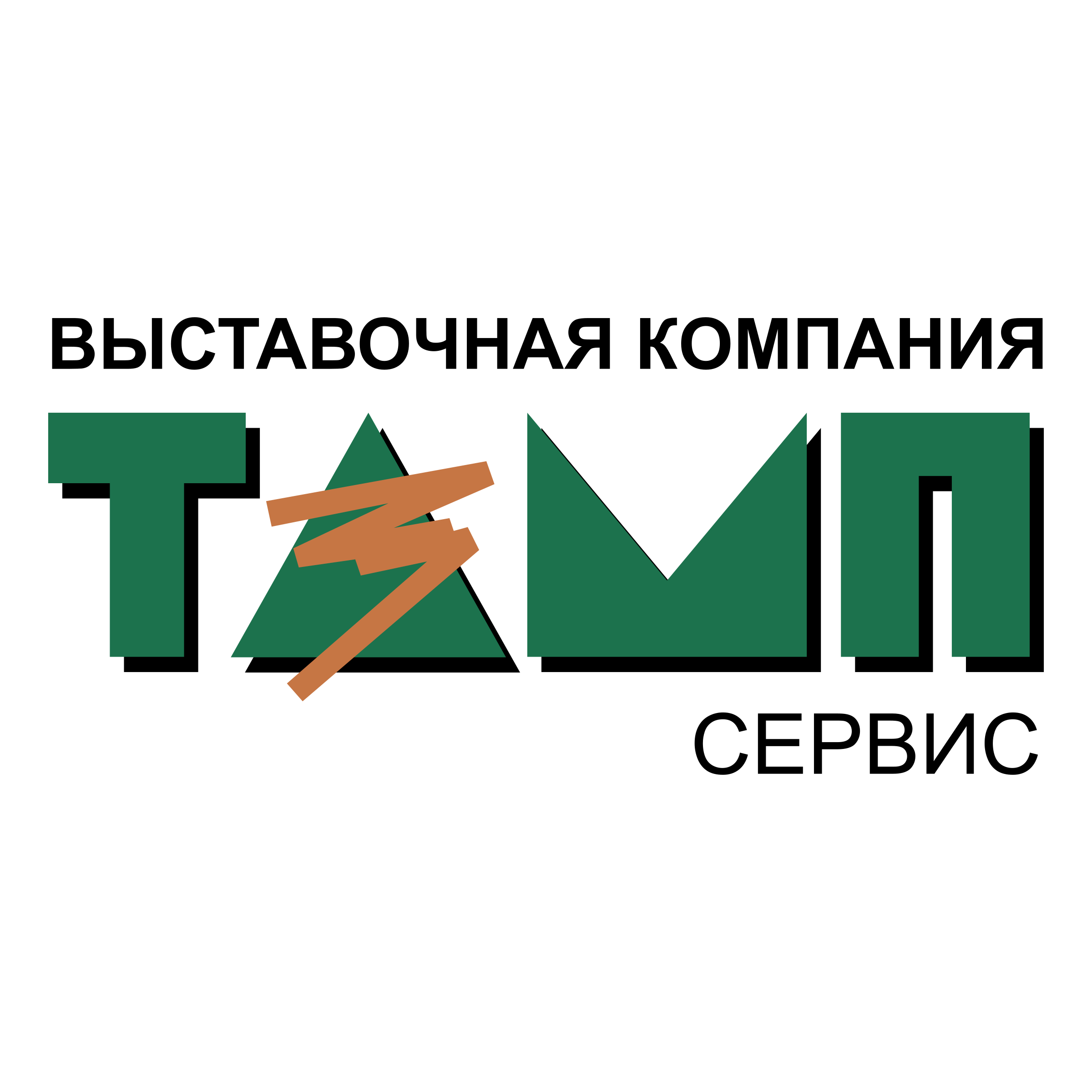 Tamp Logo png transparent