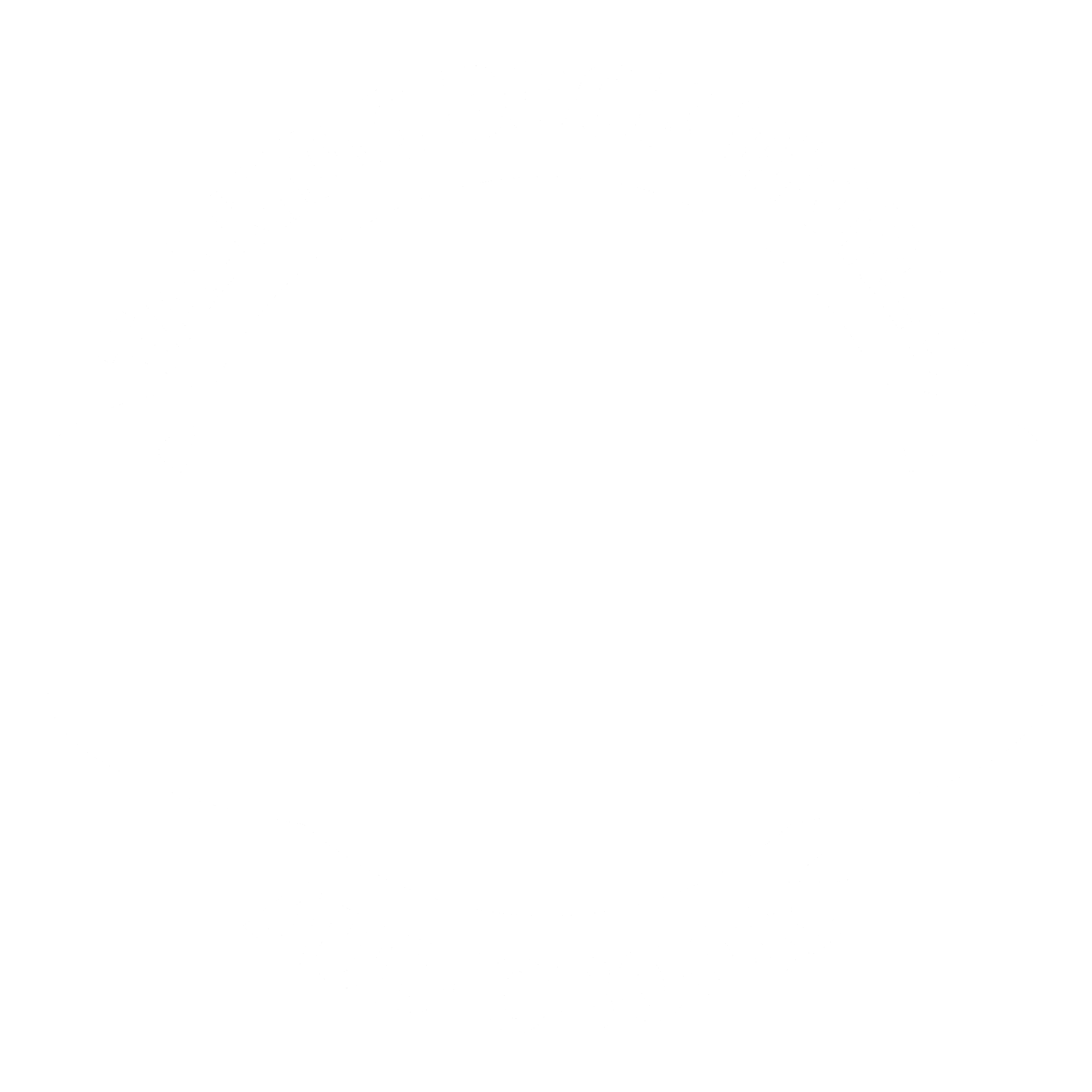 TBW Logo black and white