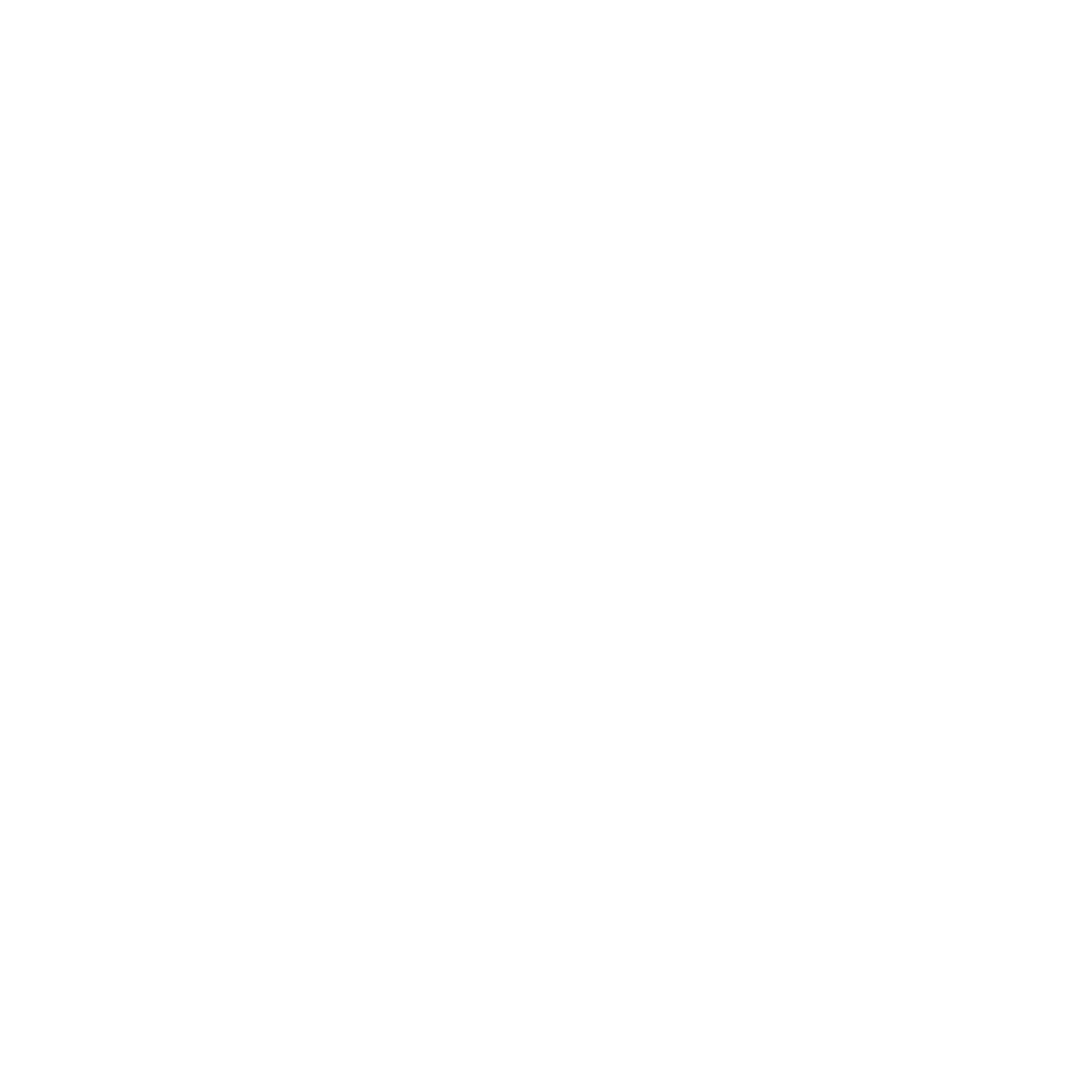 TDS Telecom Logo black and white