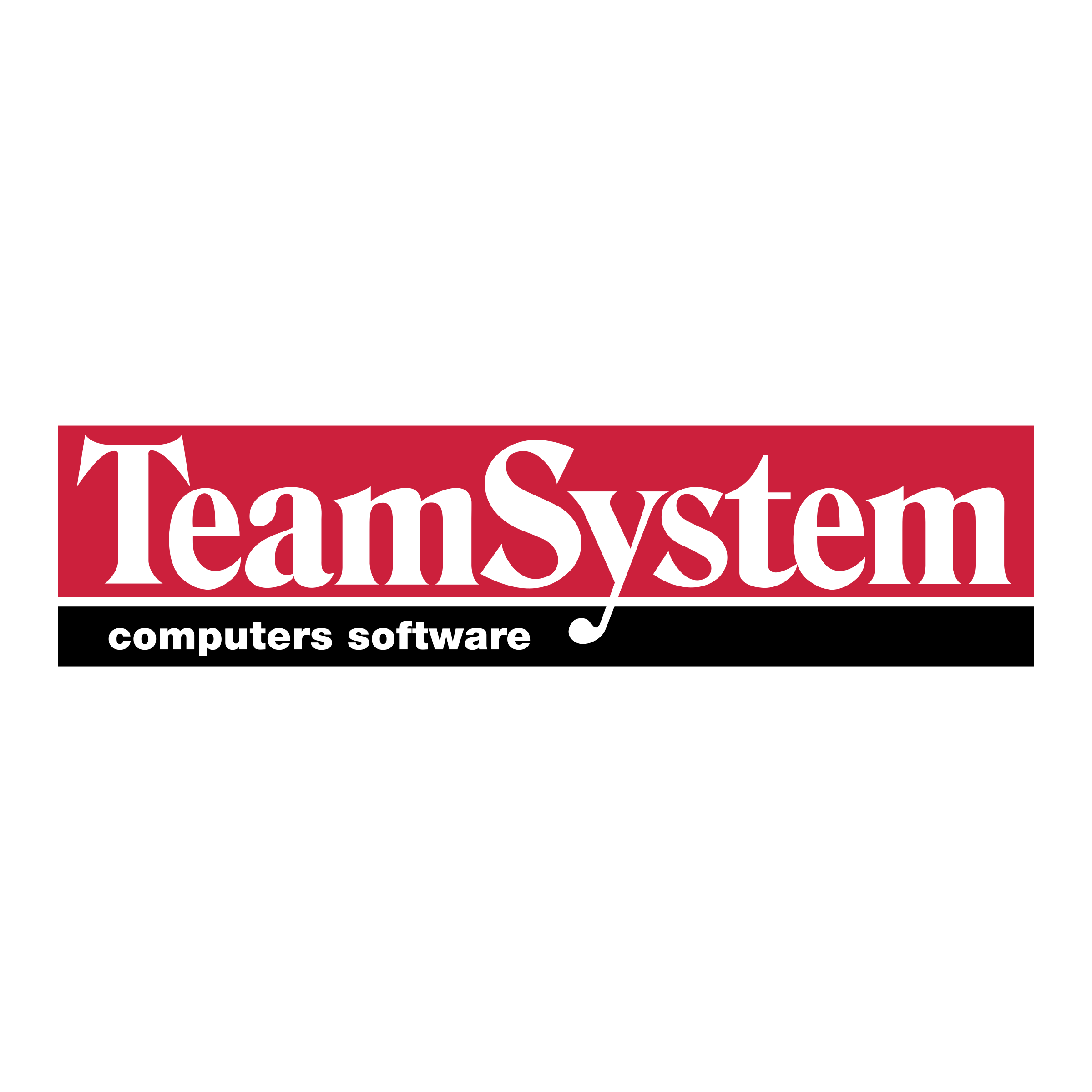 TeamSystem Logo png transparent