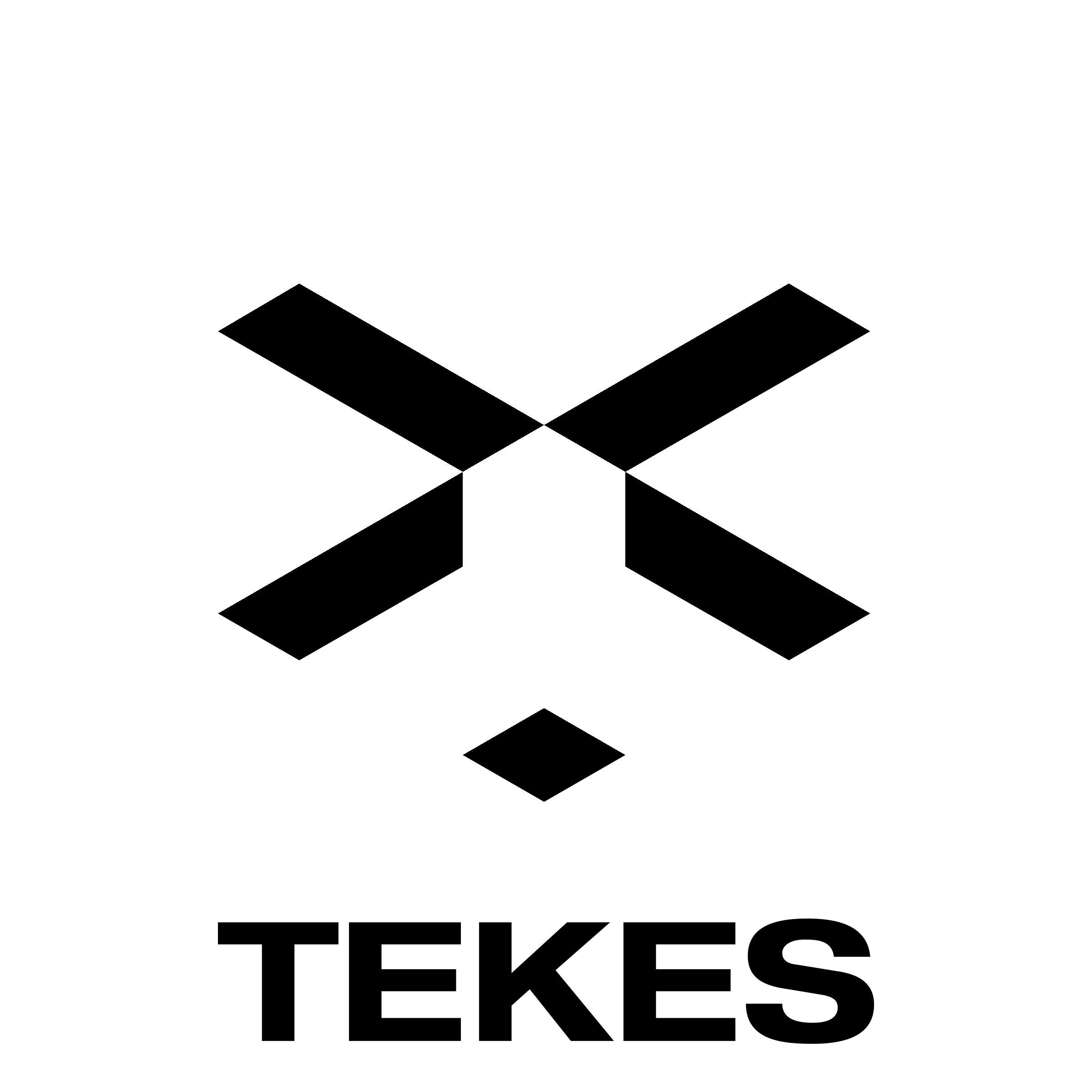 Tekes Logo black and white
