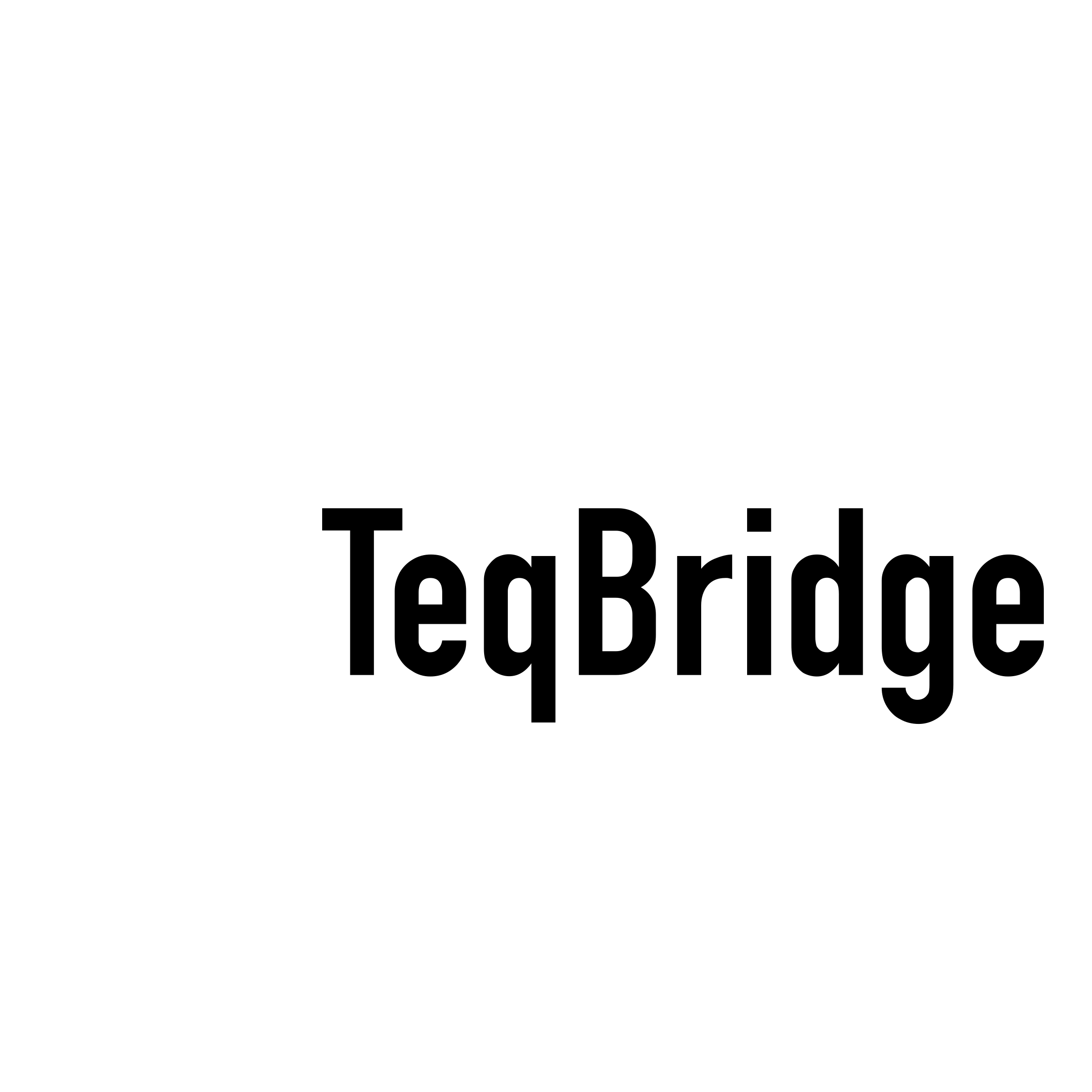 TeqBridge Logo black and white