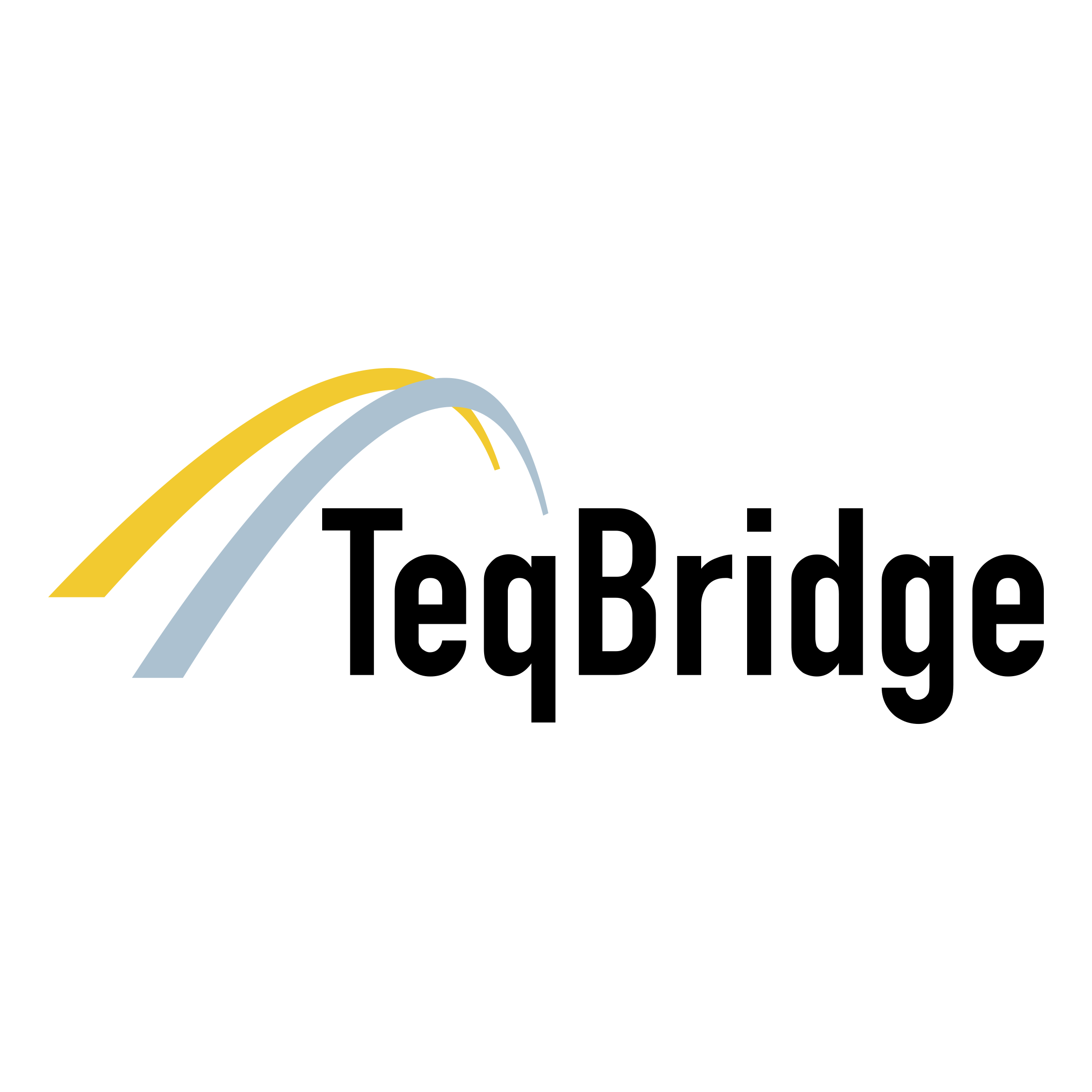 TeqBridge Logo png transparent