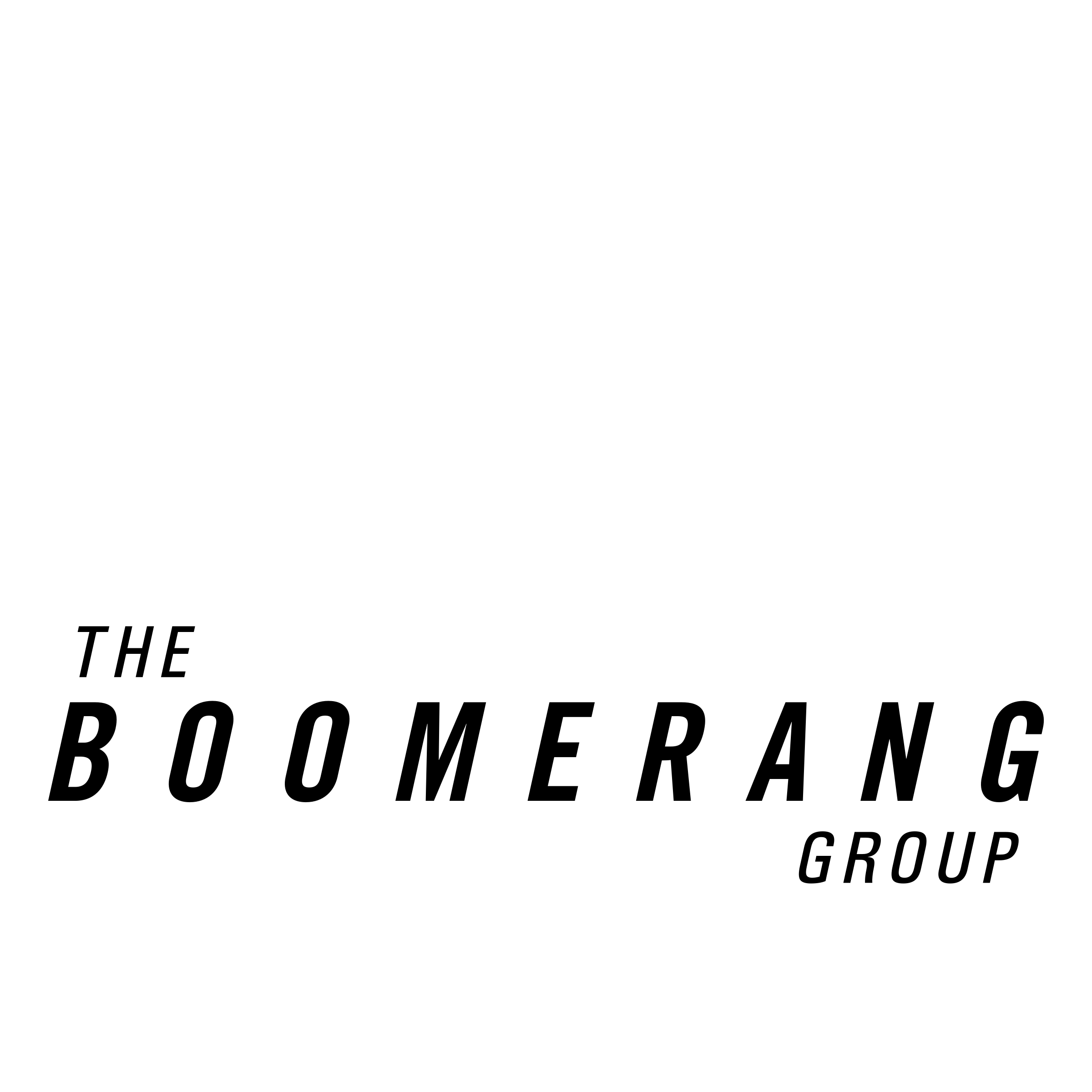 The Boomerang Group Logo PNG Transparent & SVG Vector Freebie Supply