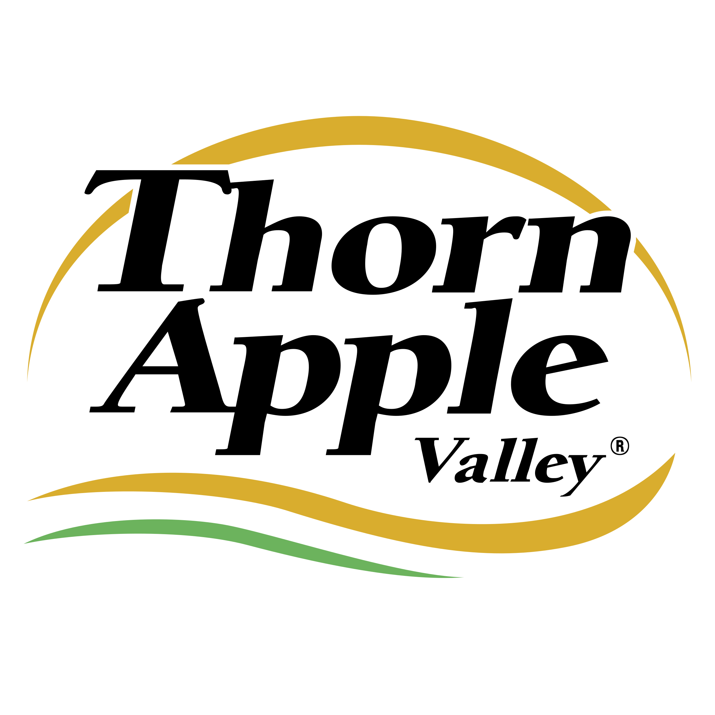 Thorn Apple Valley Logo png transparent