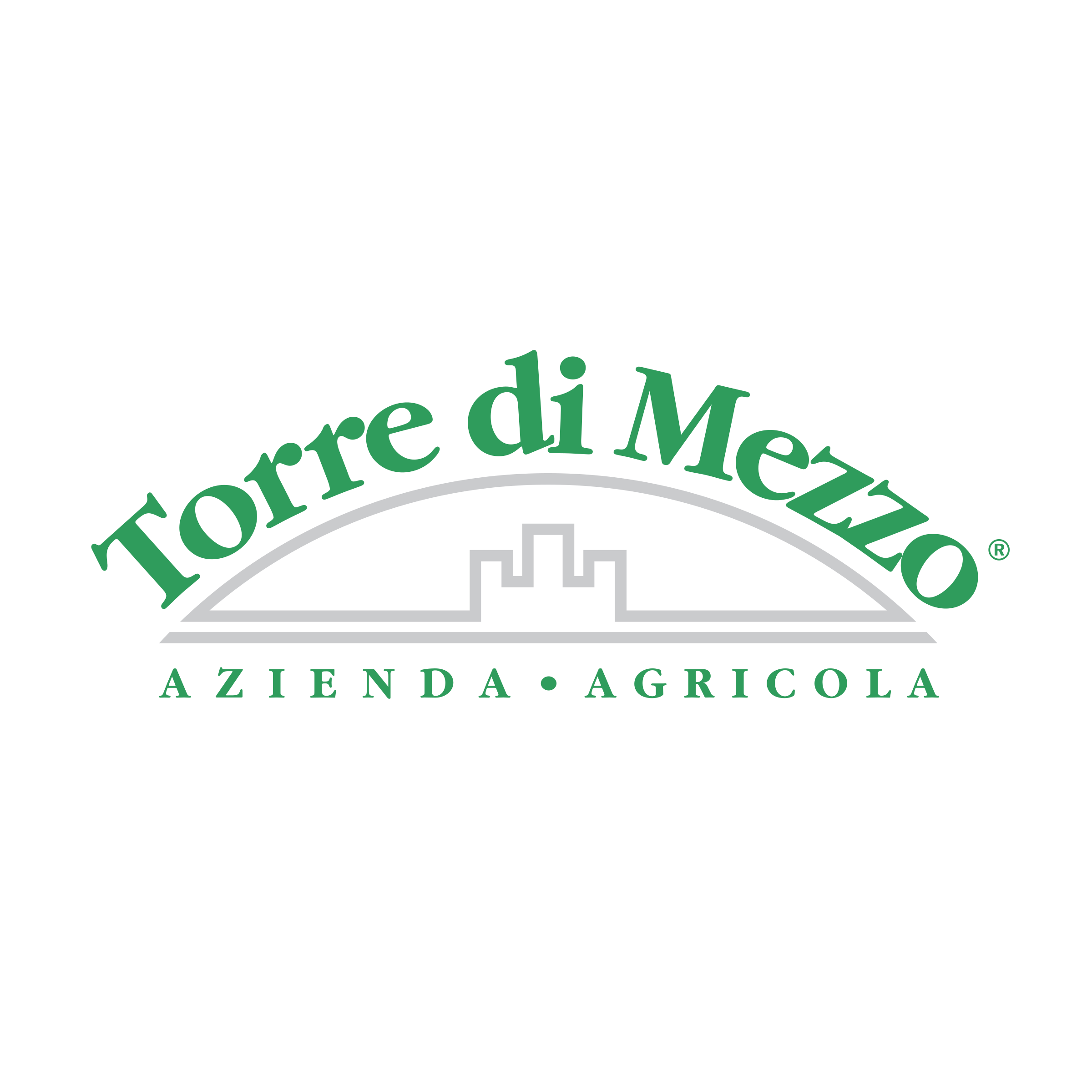 Torre di Mezzo Logo png transparent