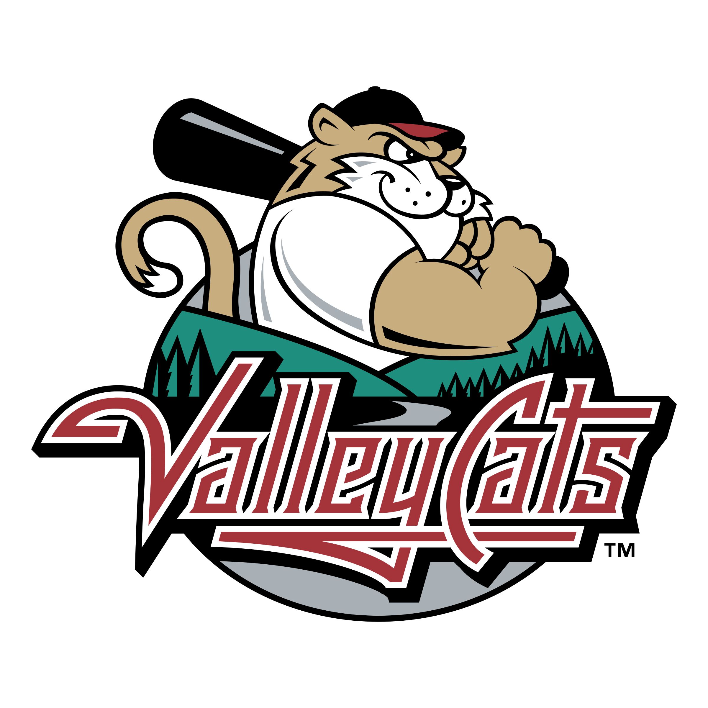 ValleyCats go independent Dutch Baseball Hangout