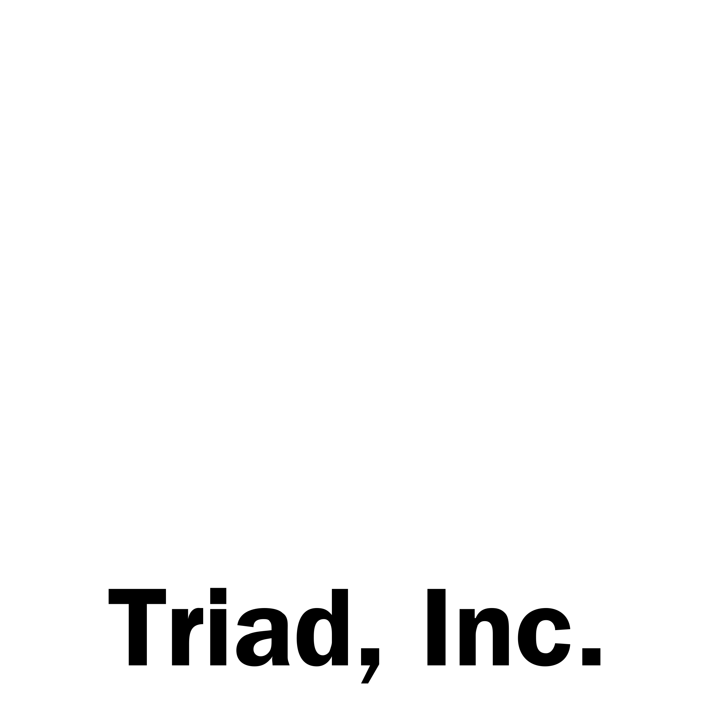 Triad Logo black and white