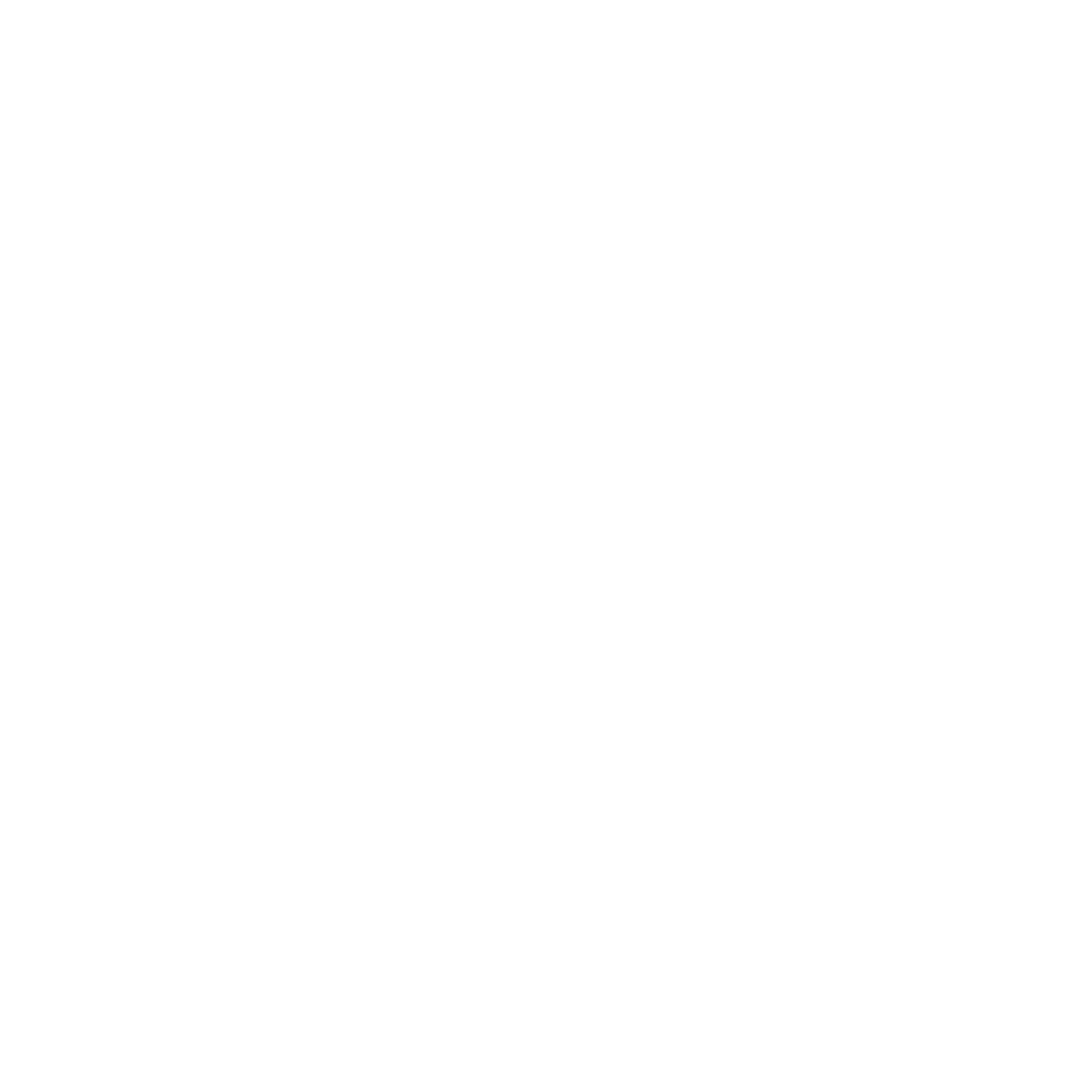 TSI Logo black and white
