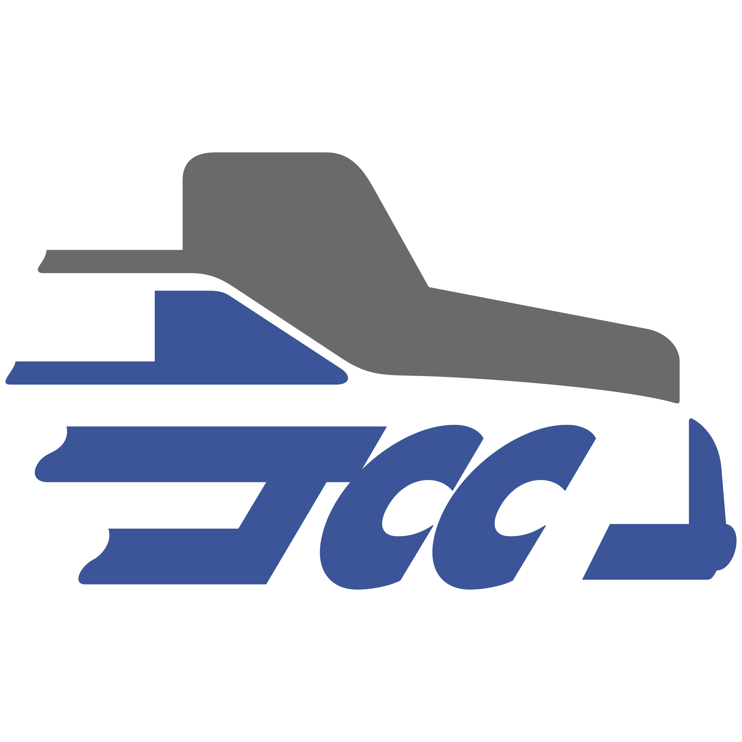 TSS Logo png transparent