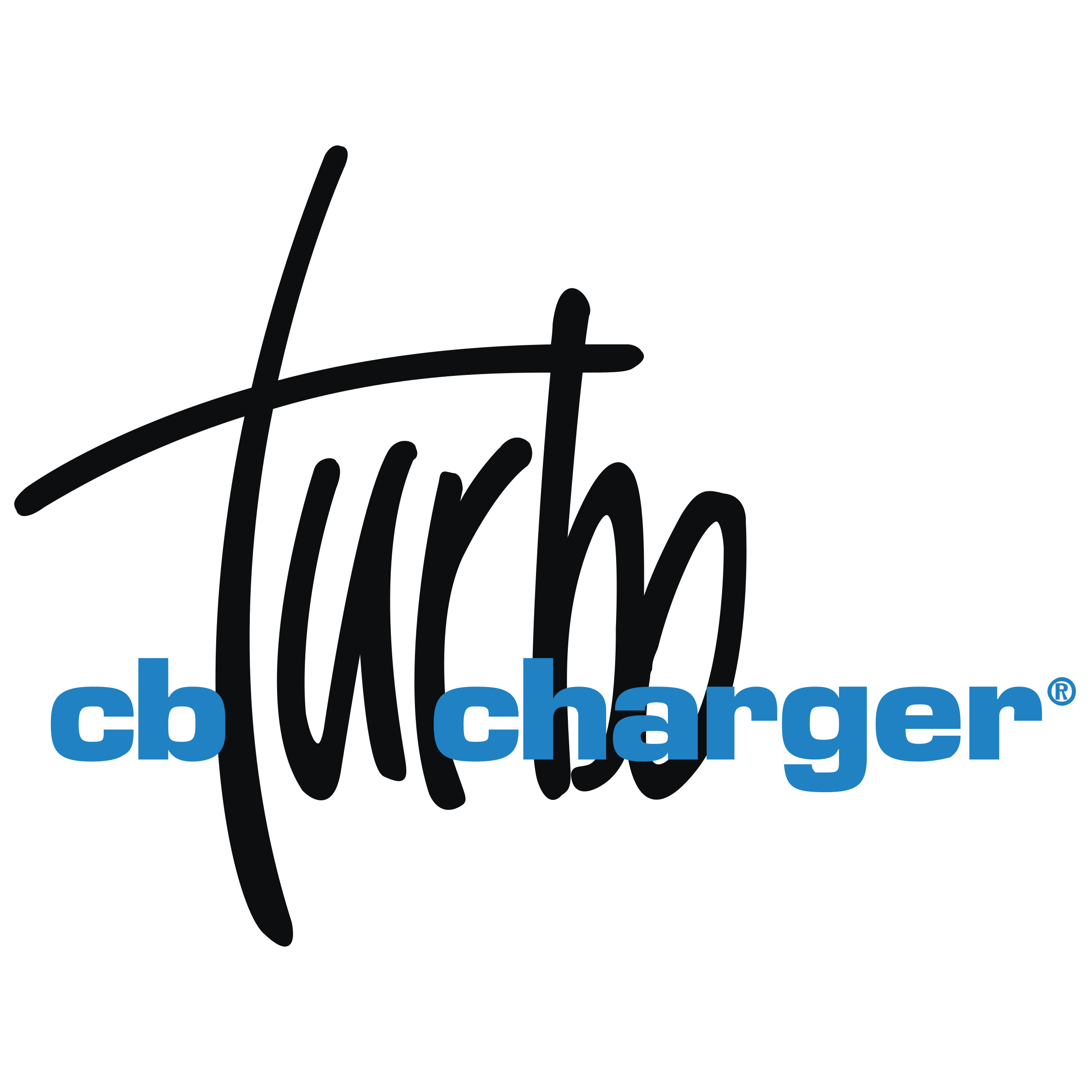 Turbo cb charger Logo png transparent