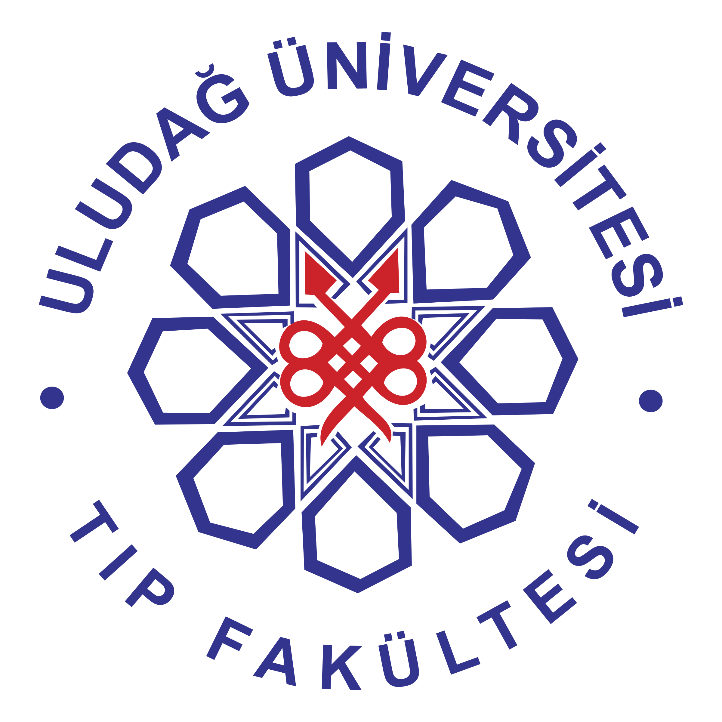 Uludag University Medical Faculty Logo png transparent