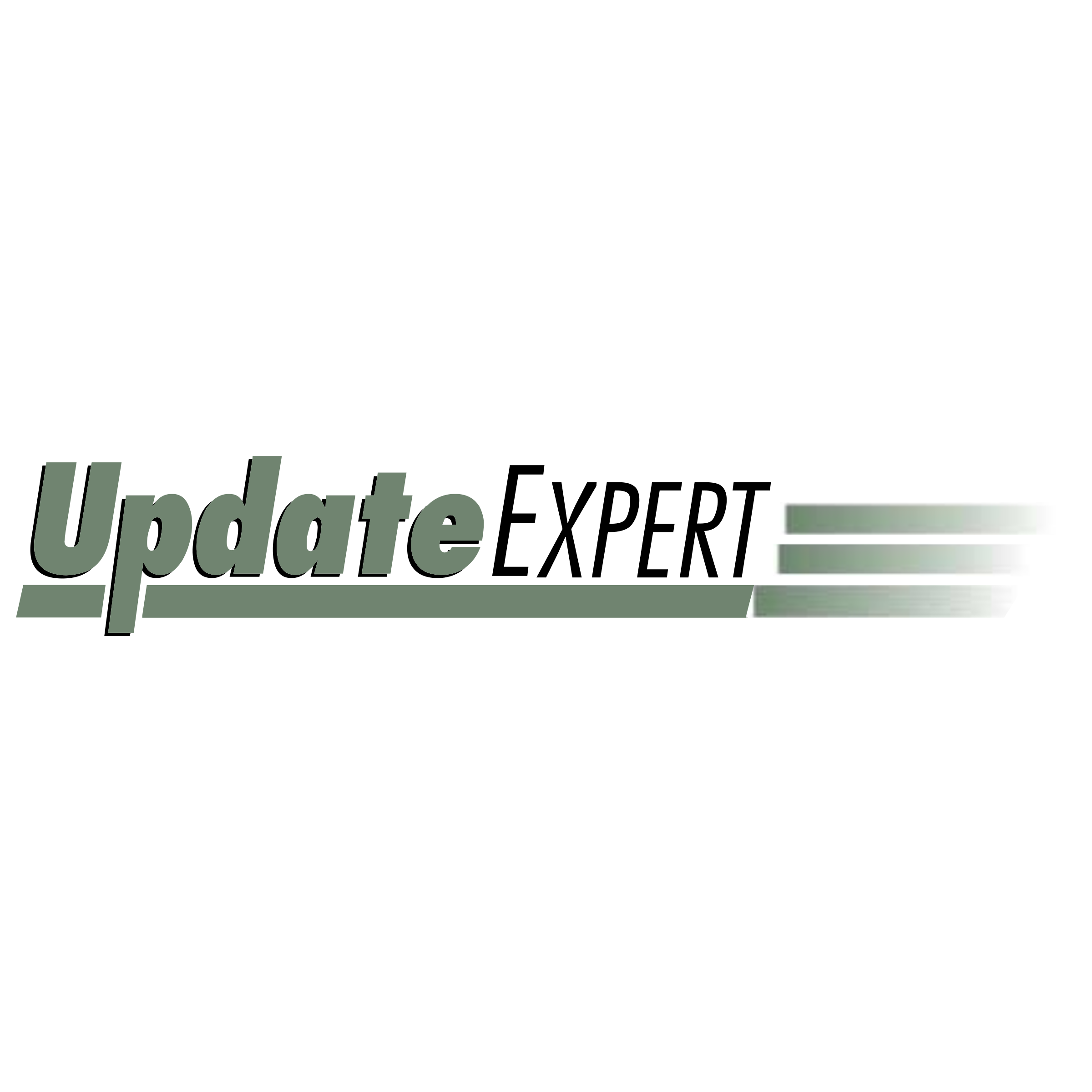 UpdateEXPERT Logo png transparent