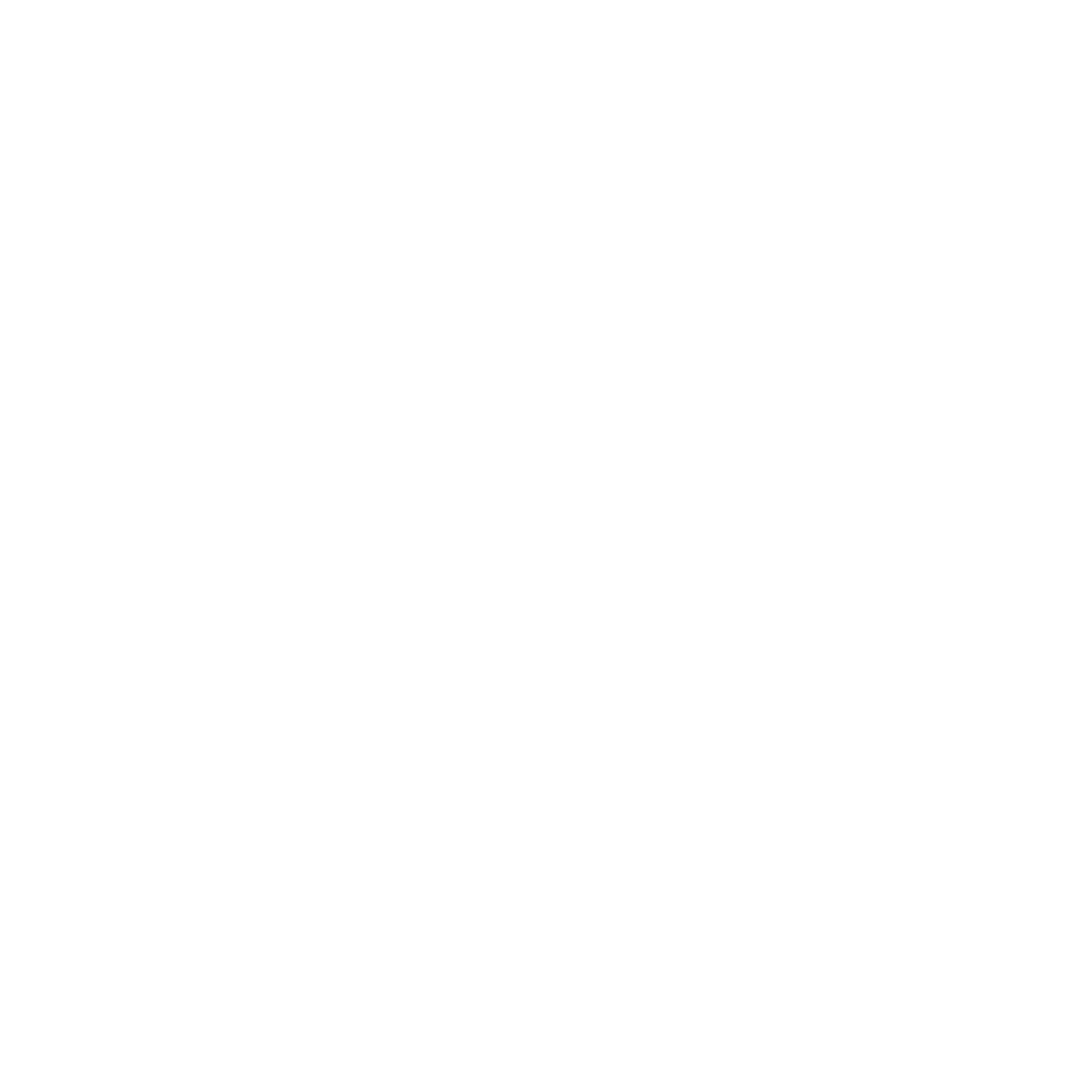 USA Equestrian Logo black and white