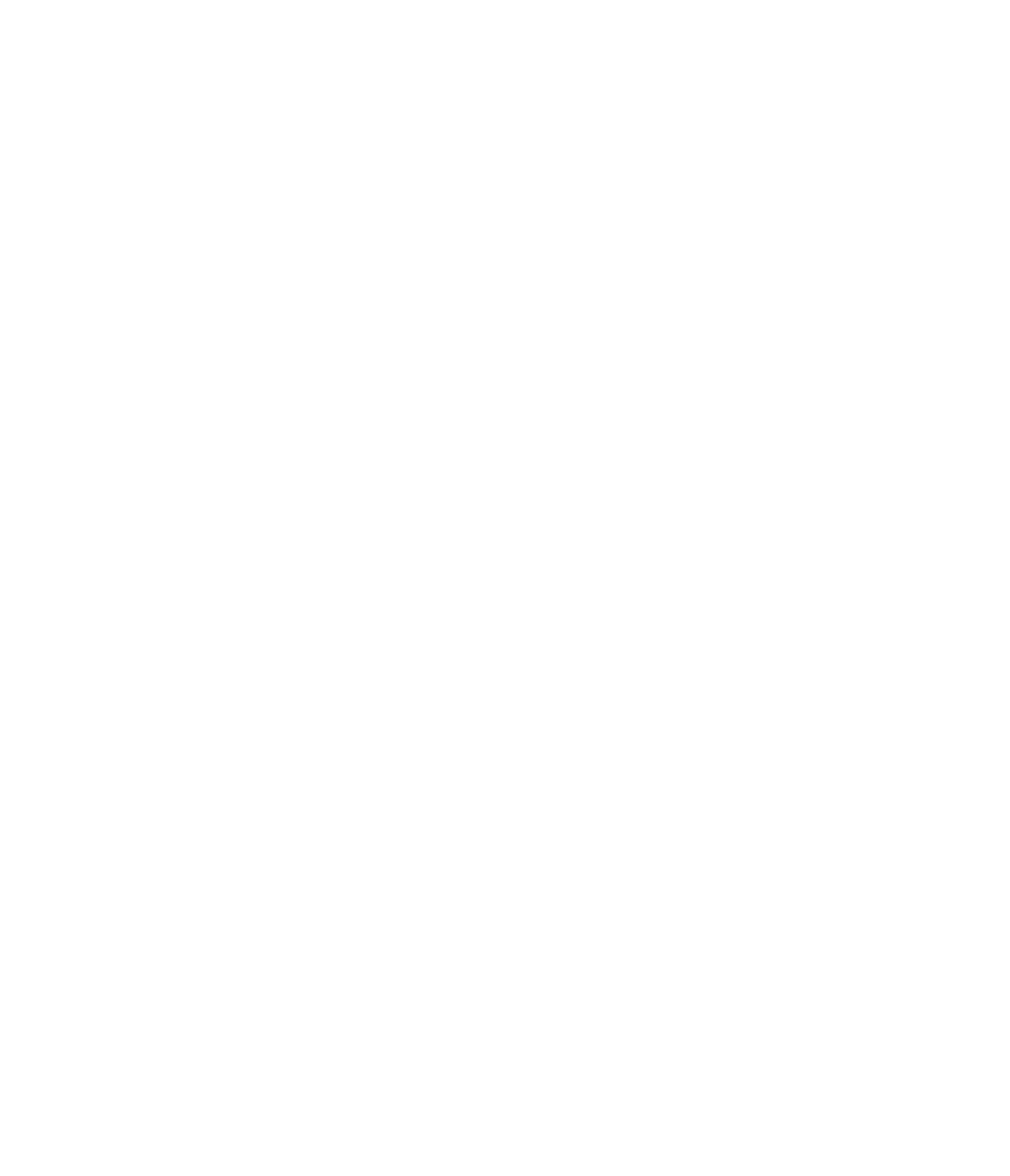 USA2 Logo black and white