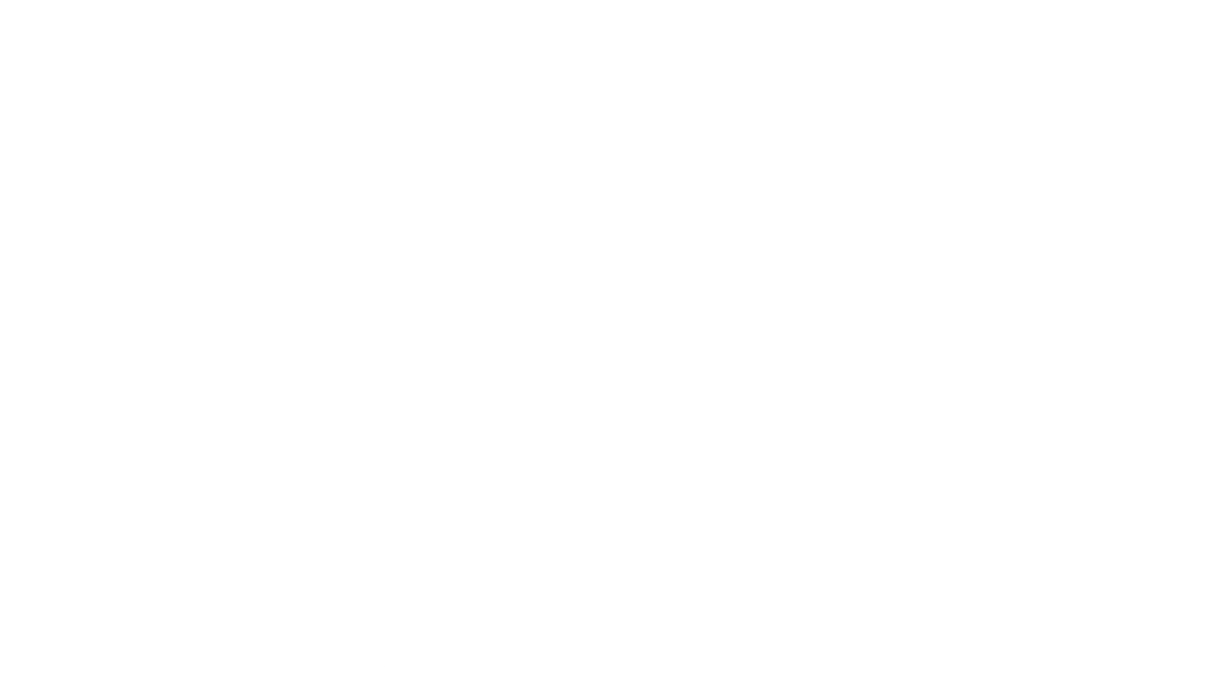 VeraCrypt Logo black and white