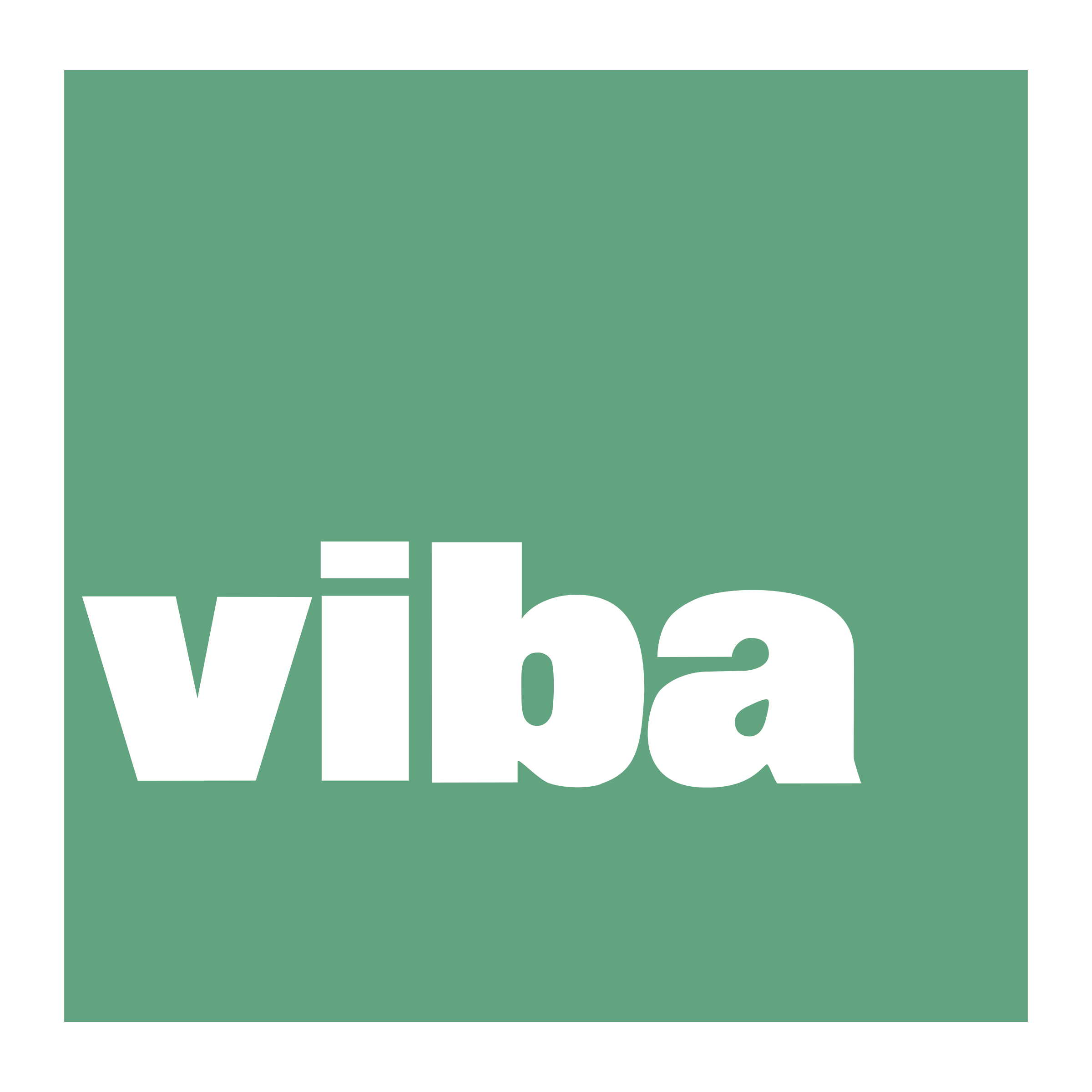 VIBA Logo png transparent