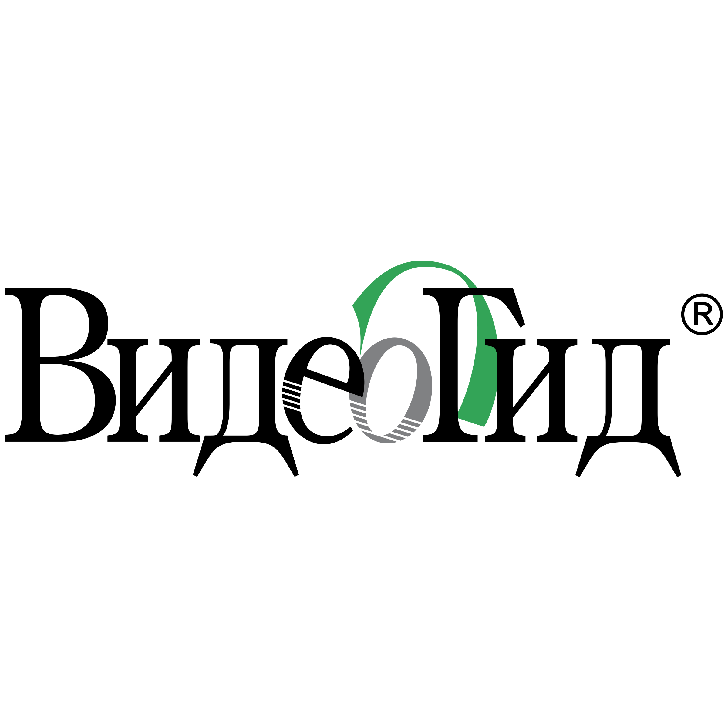 Video Guide Logo png transparent