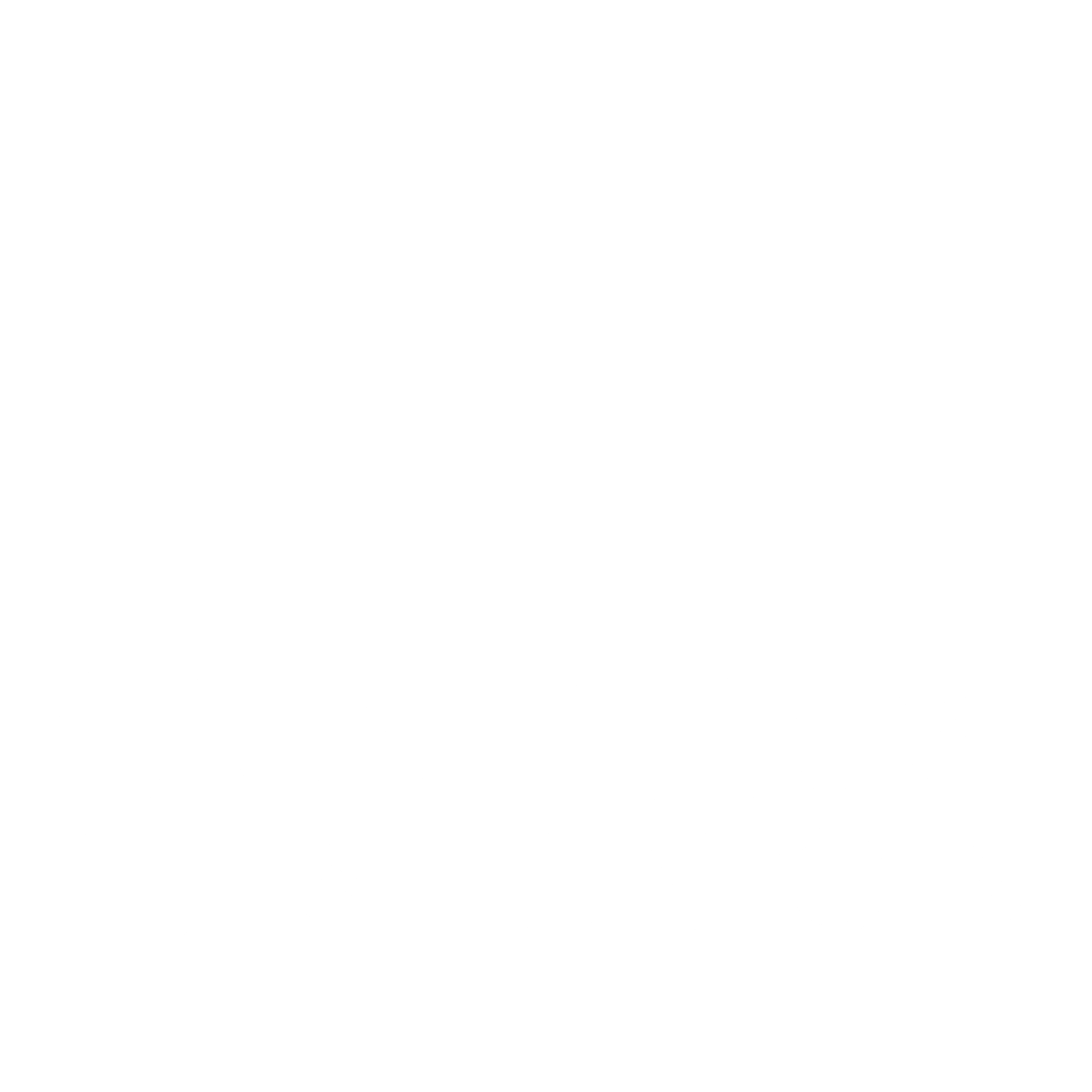 Ville de Sainte Foy les Lyon Logo black and white