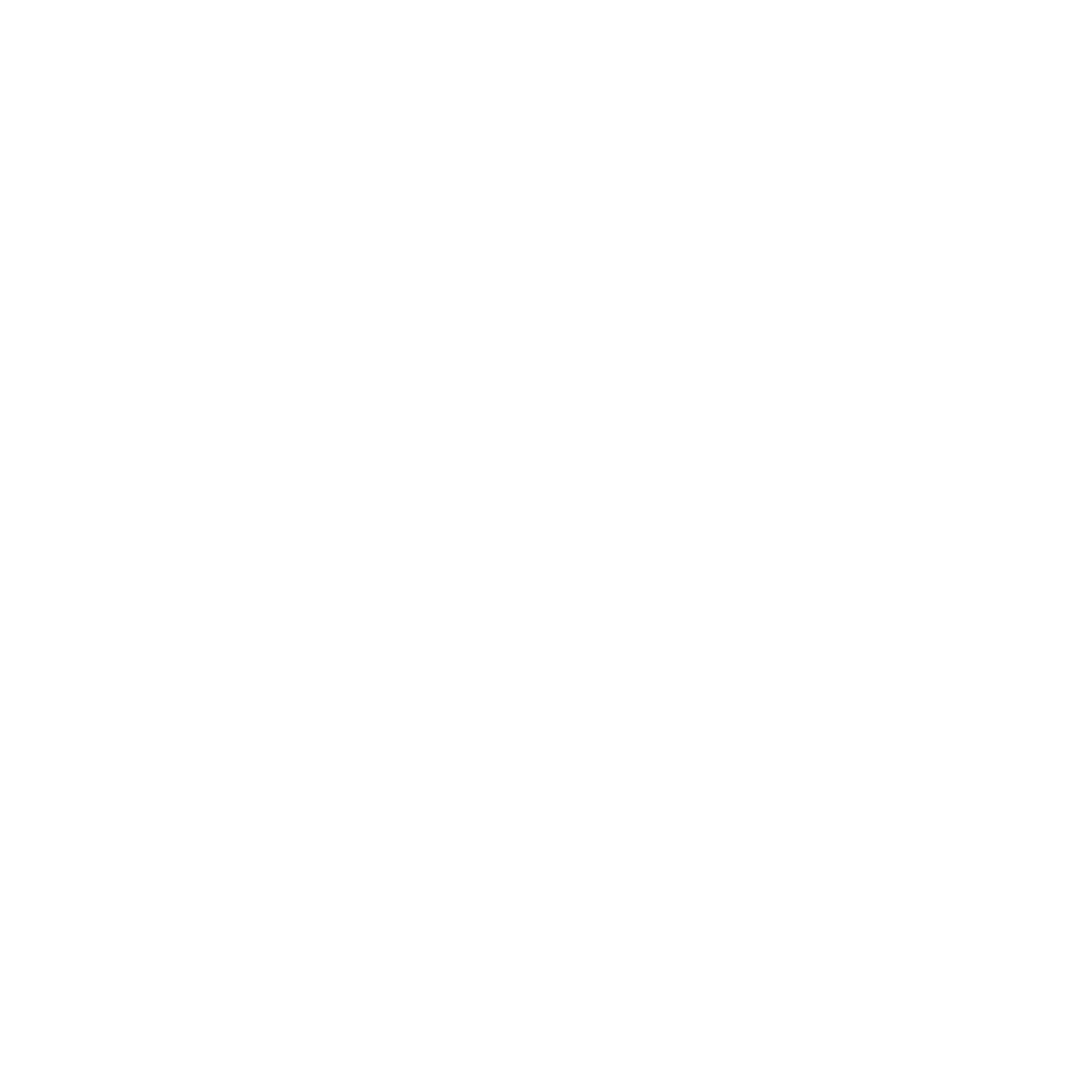 Vistorm Logo black and white