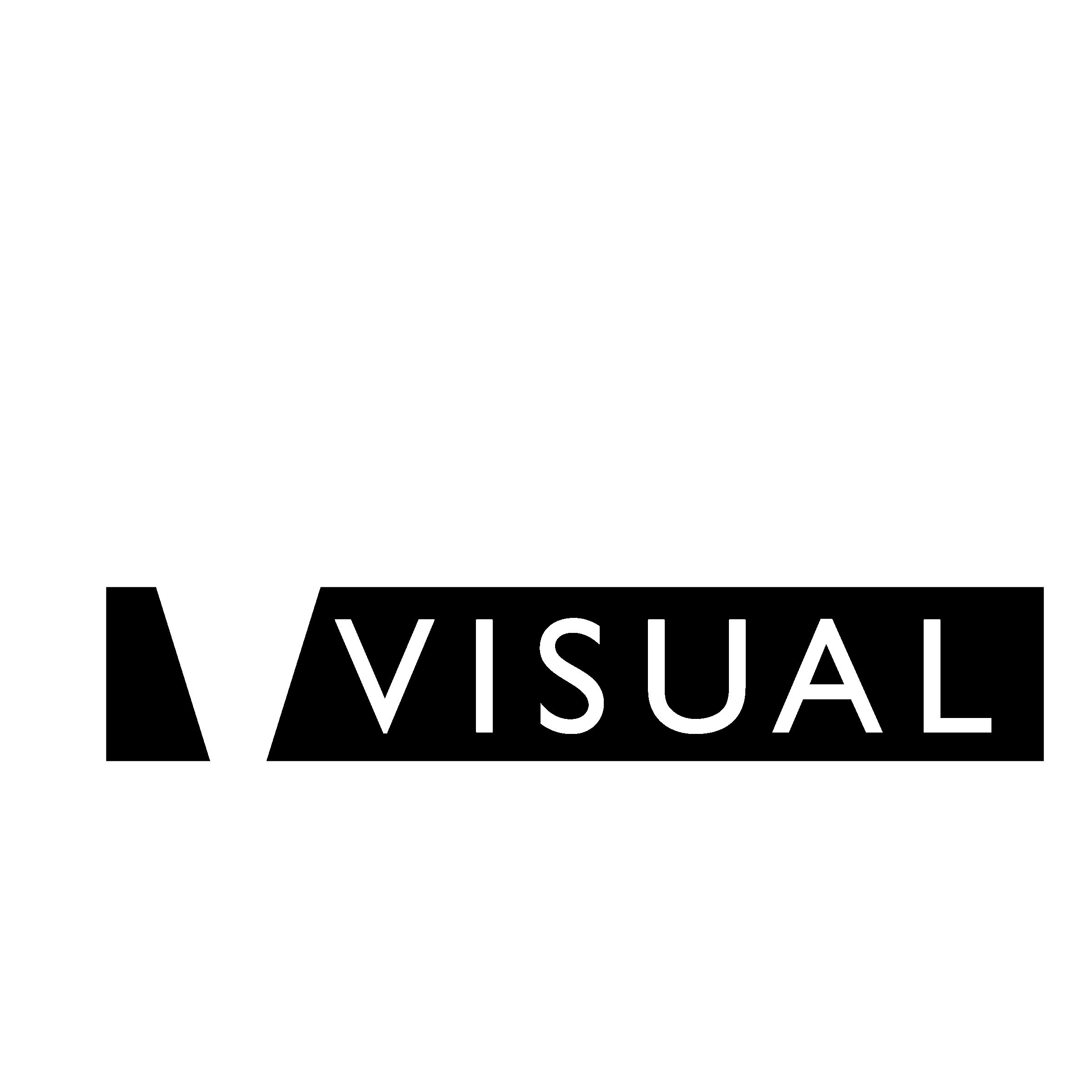 Visual Logo black and white