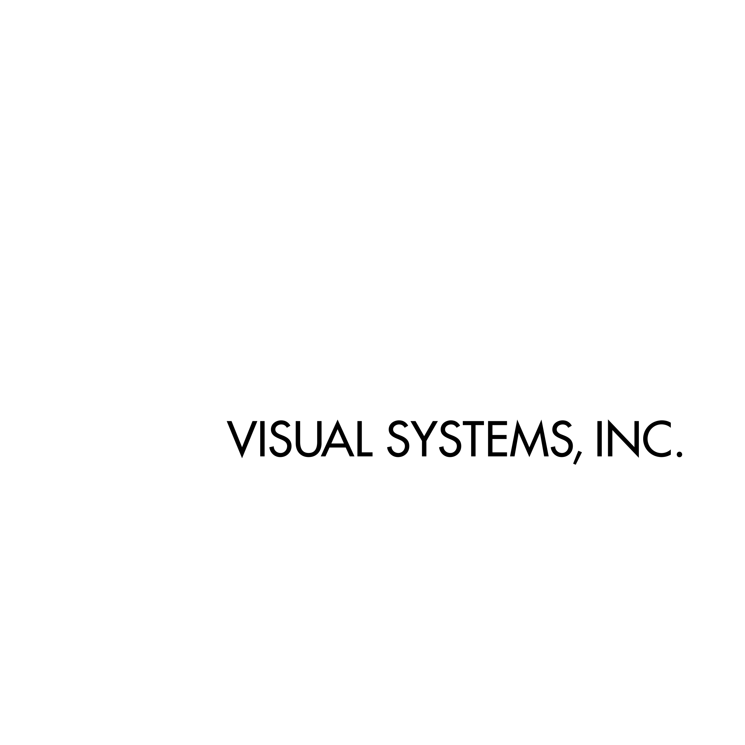 Visual Systems Inc Logo black and white