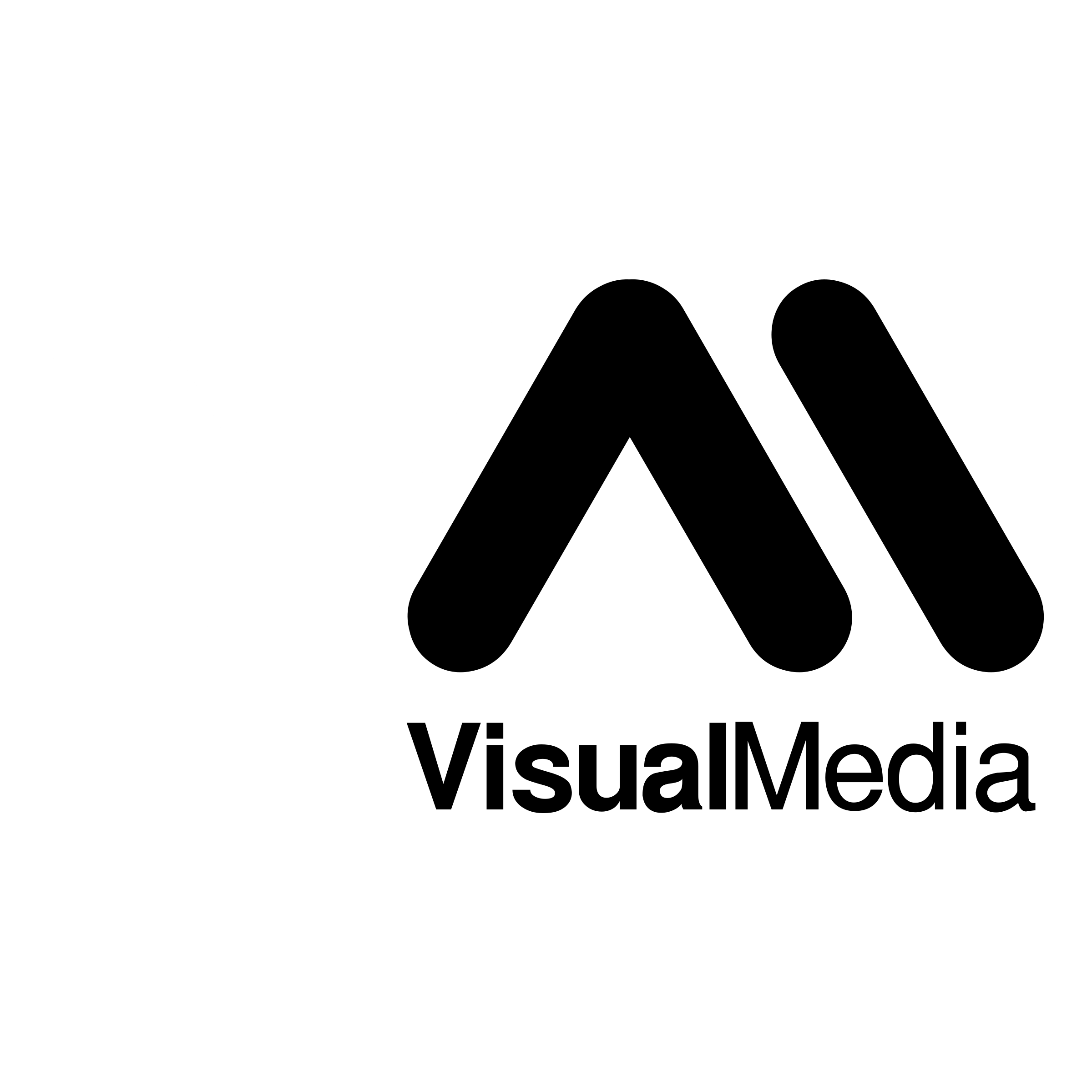 VisualMedia Logo black and white