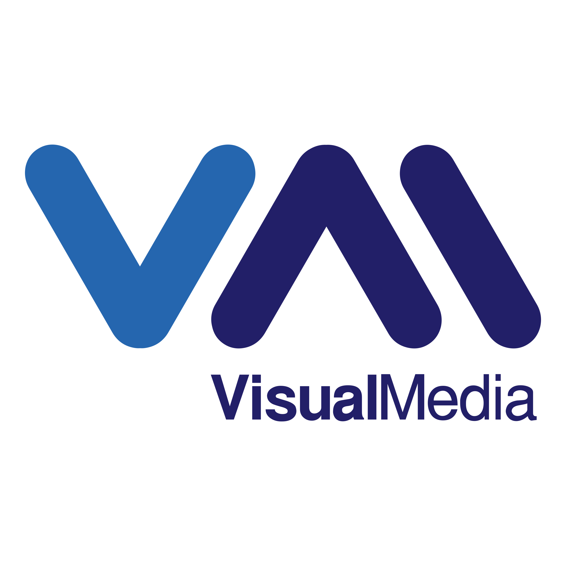 VisualMedia Logo png transparent