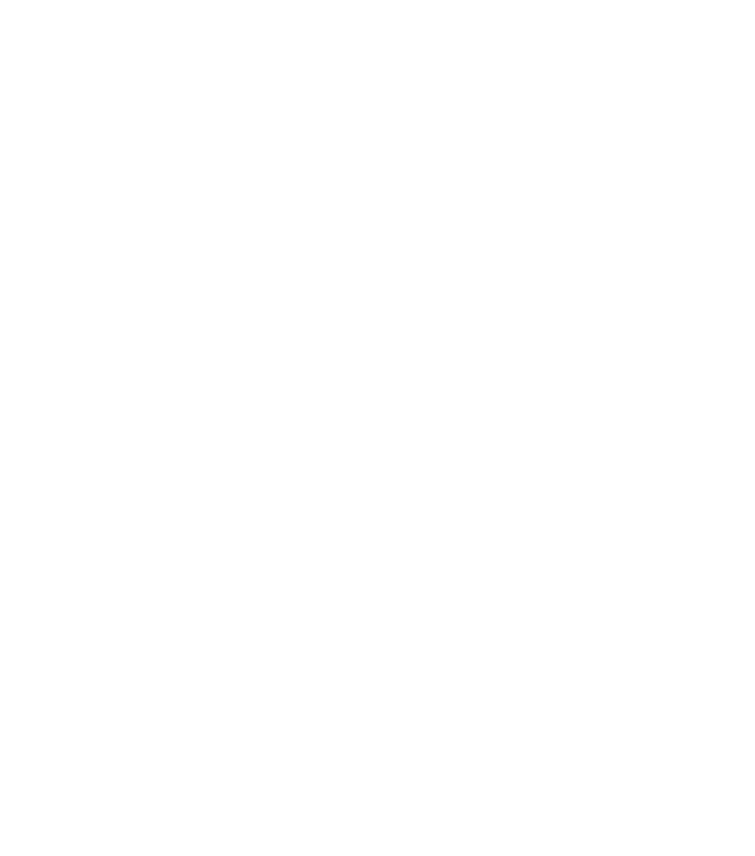 VLC Logo black and white