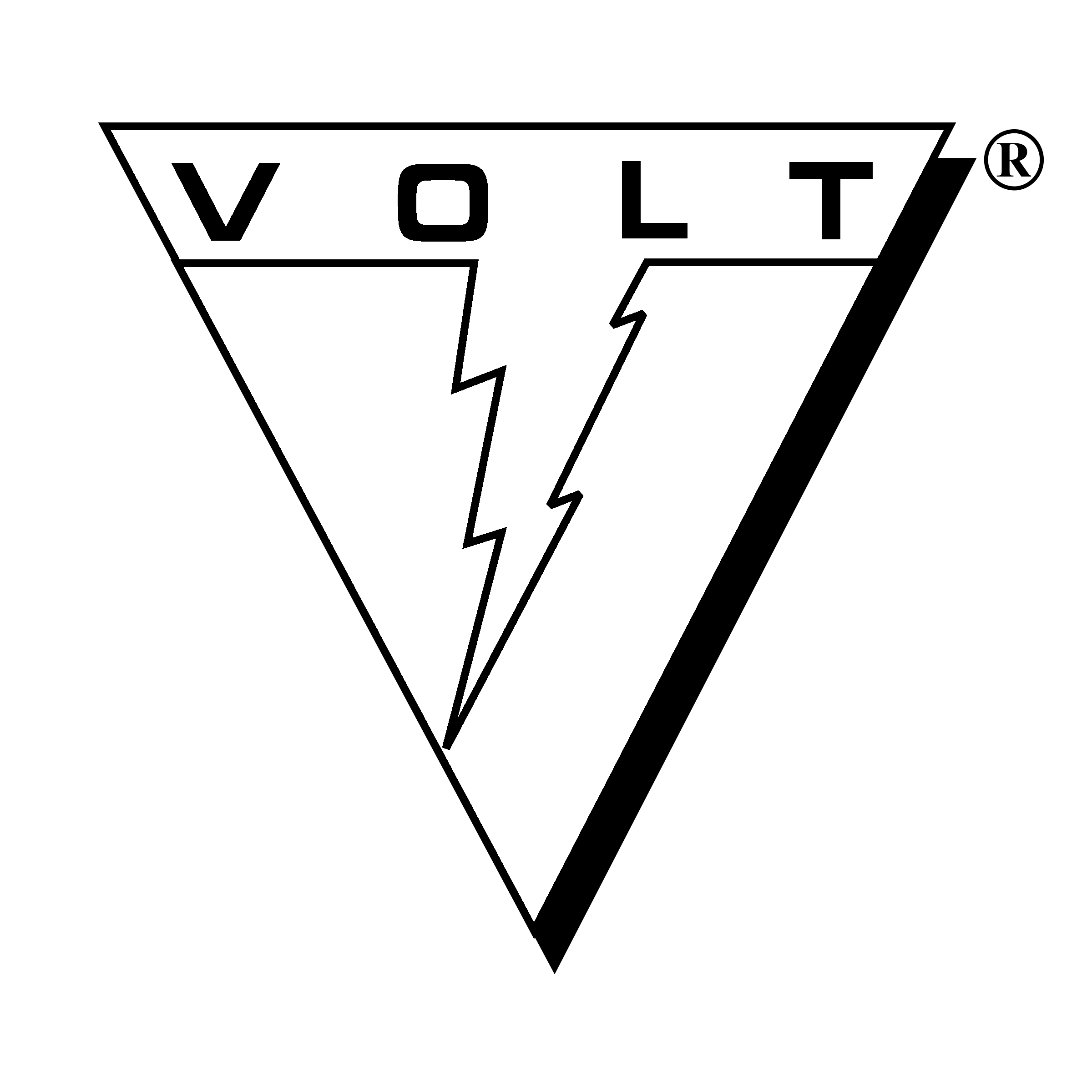Volt Information Logo black and white