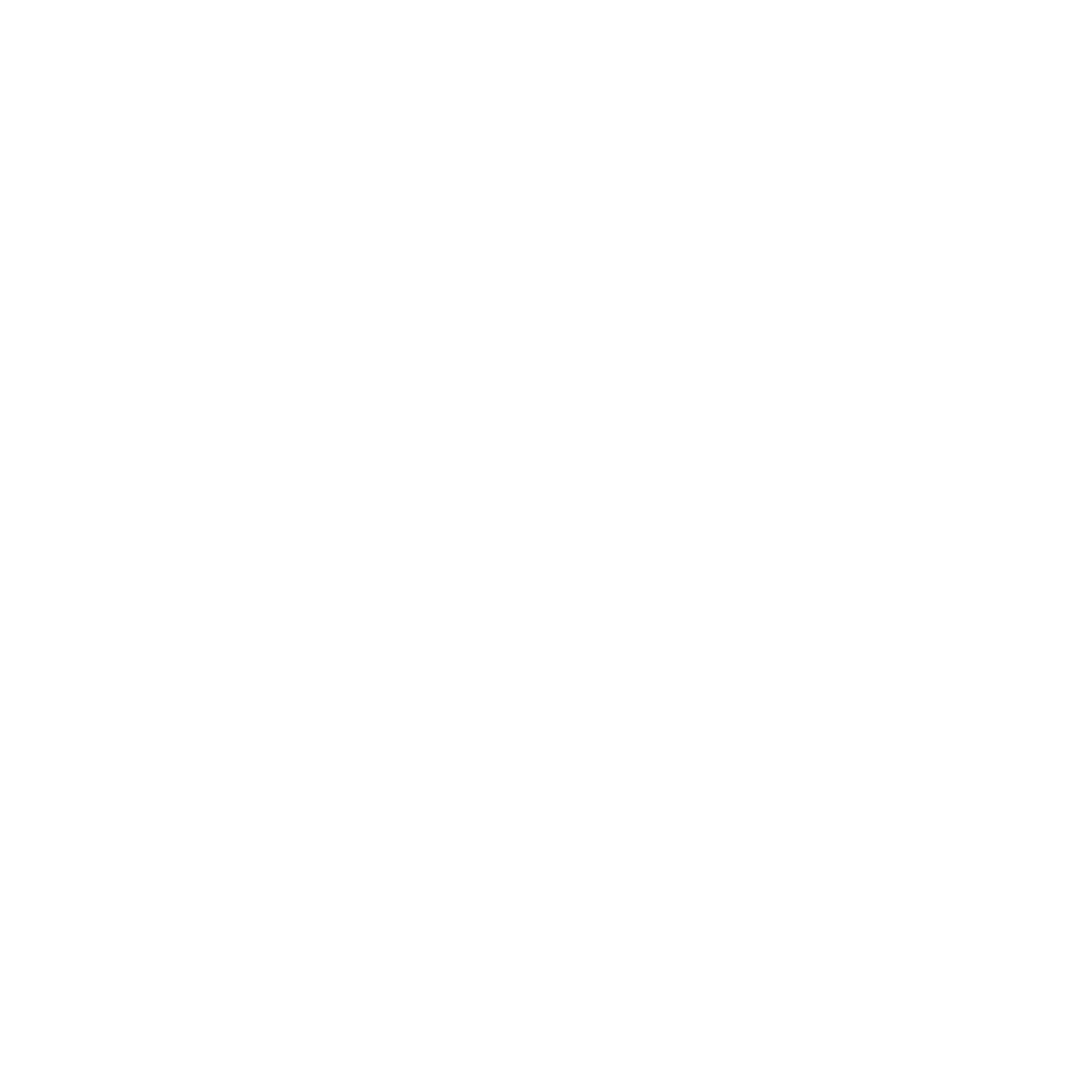 Vortice Logo black and white