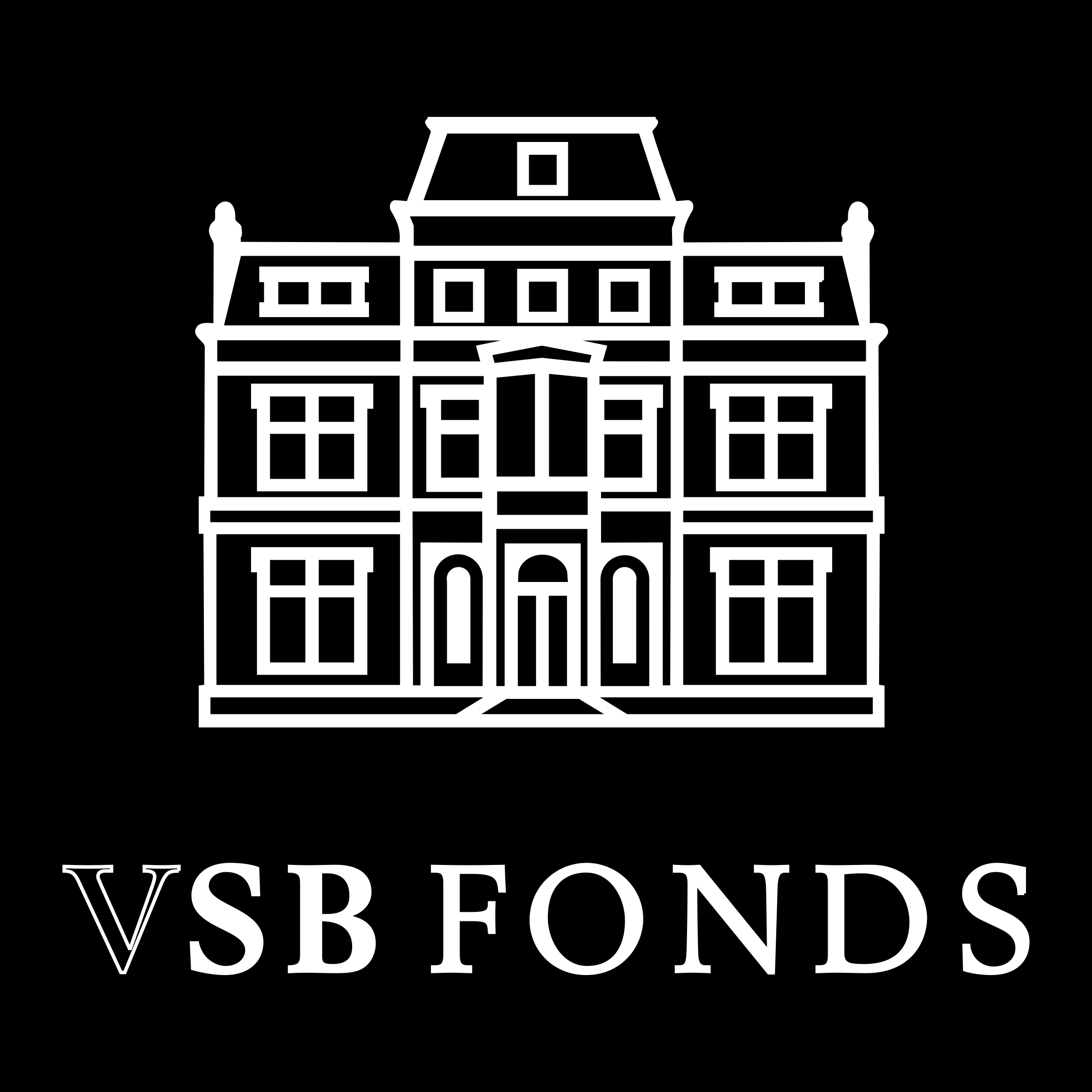 VSB Fonds Logo png transparent