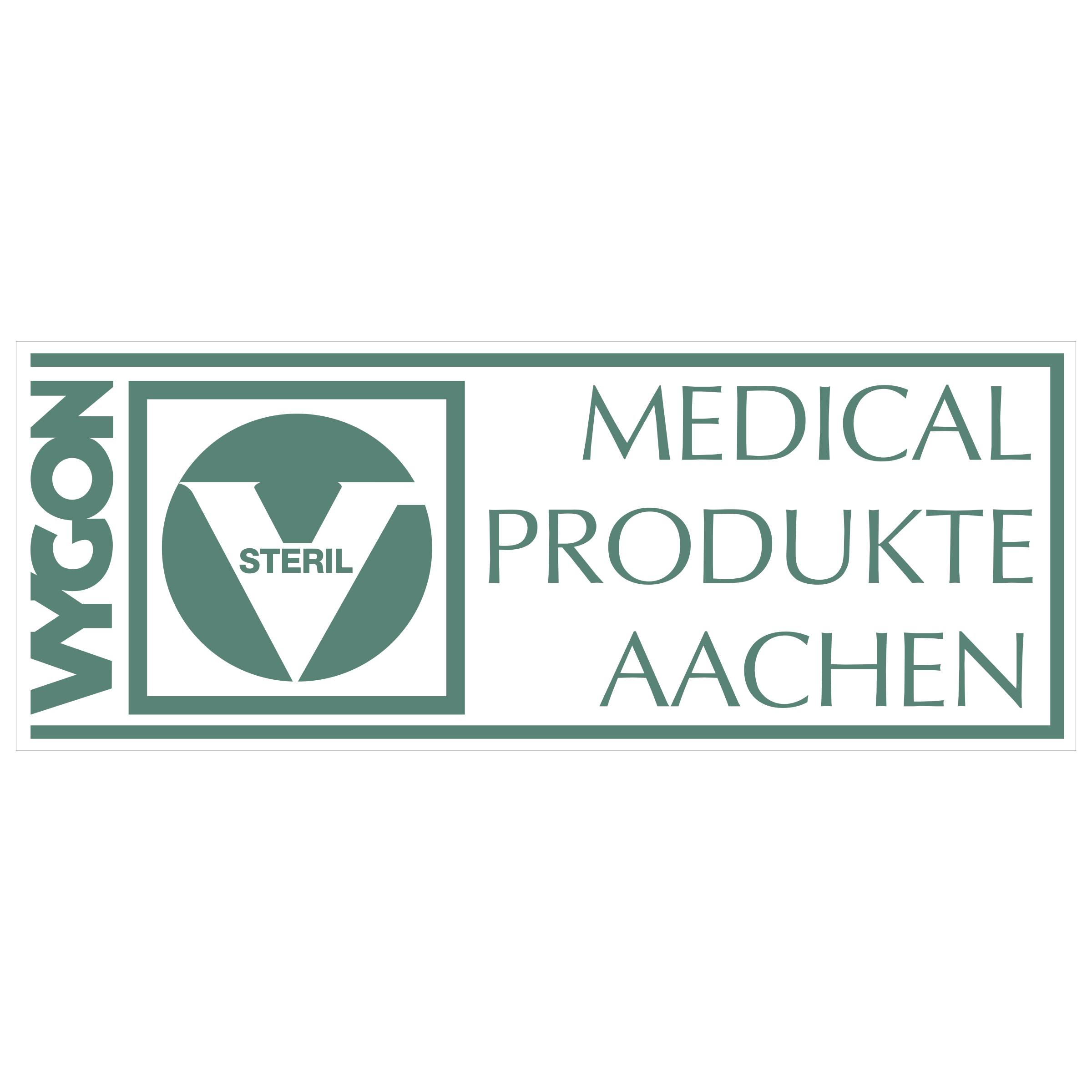 Vygon Logo png transparent