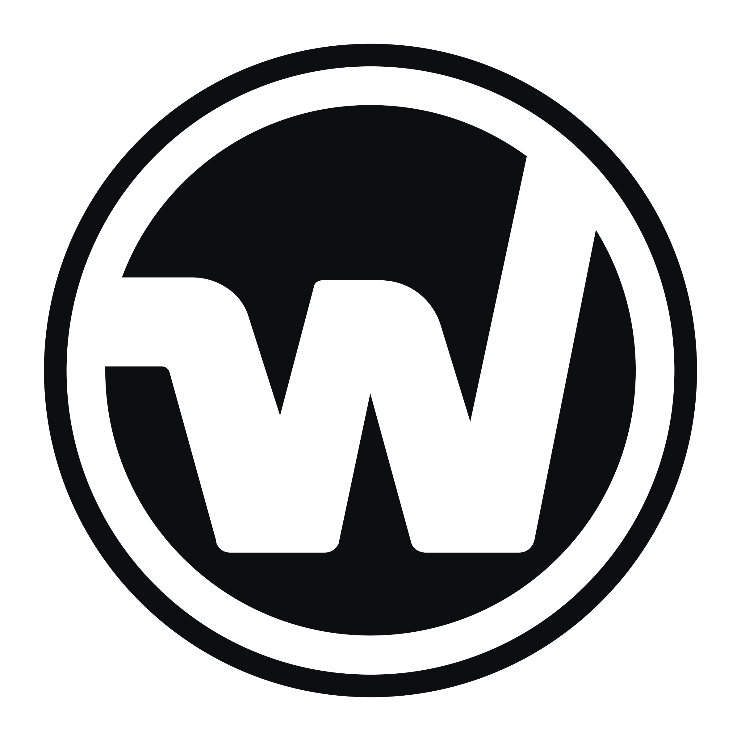 Walter Industries Logo png transparent