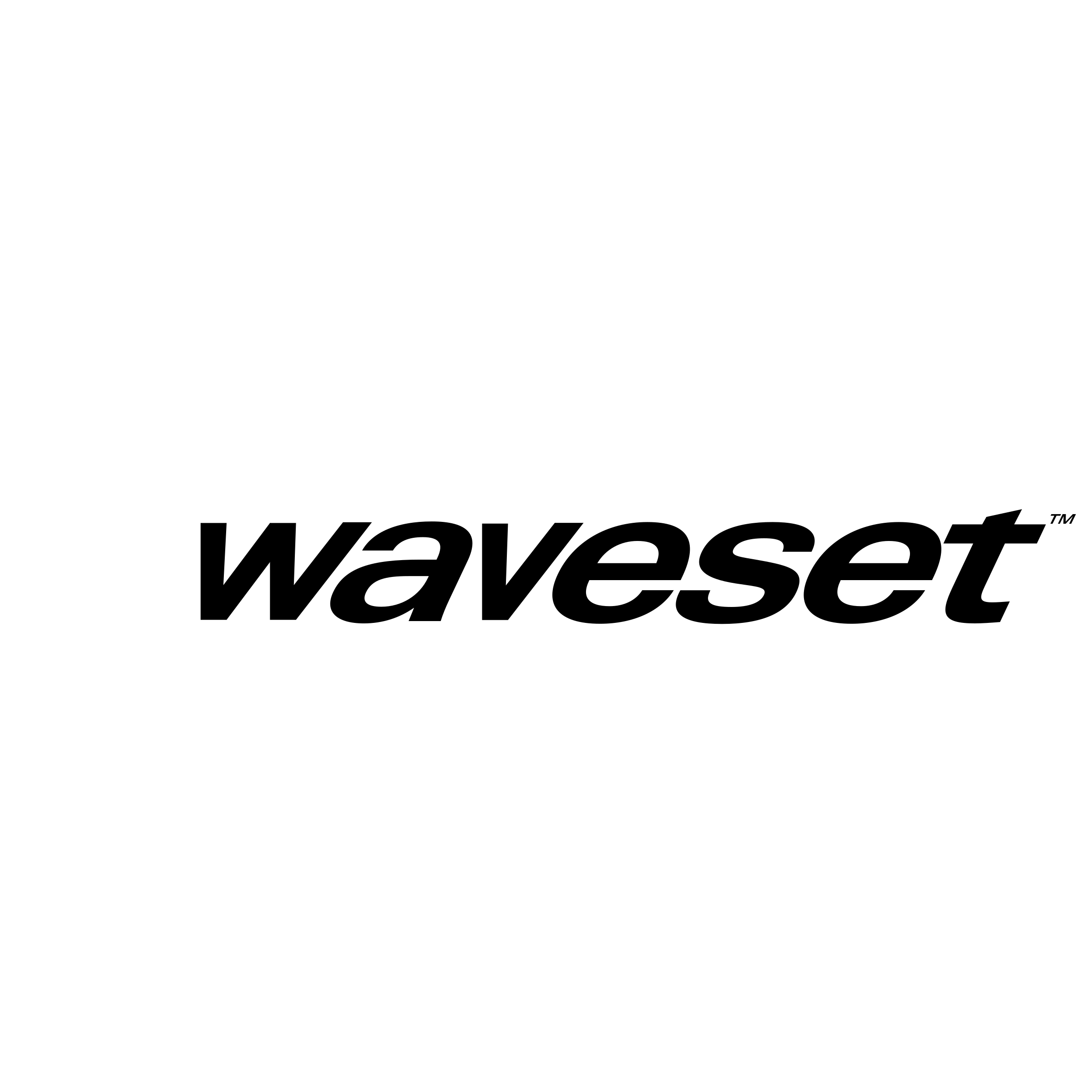 Waveset Technologies Logo black and white