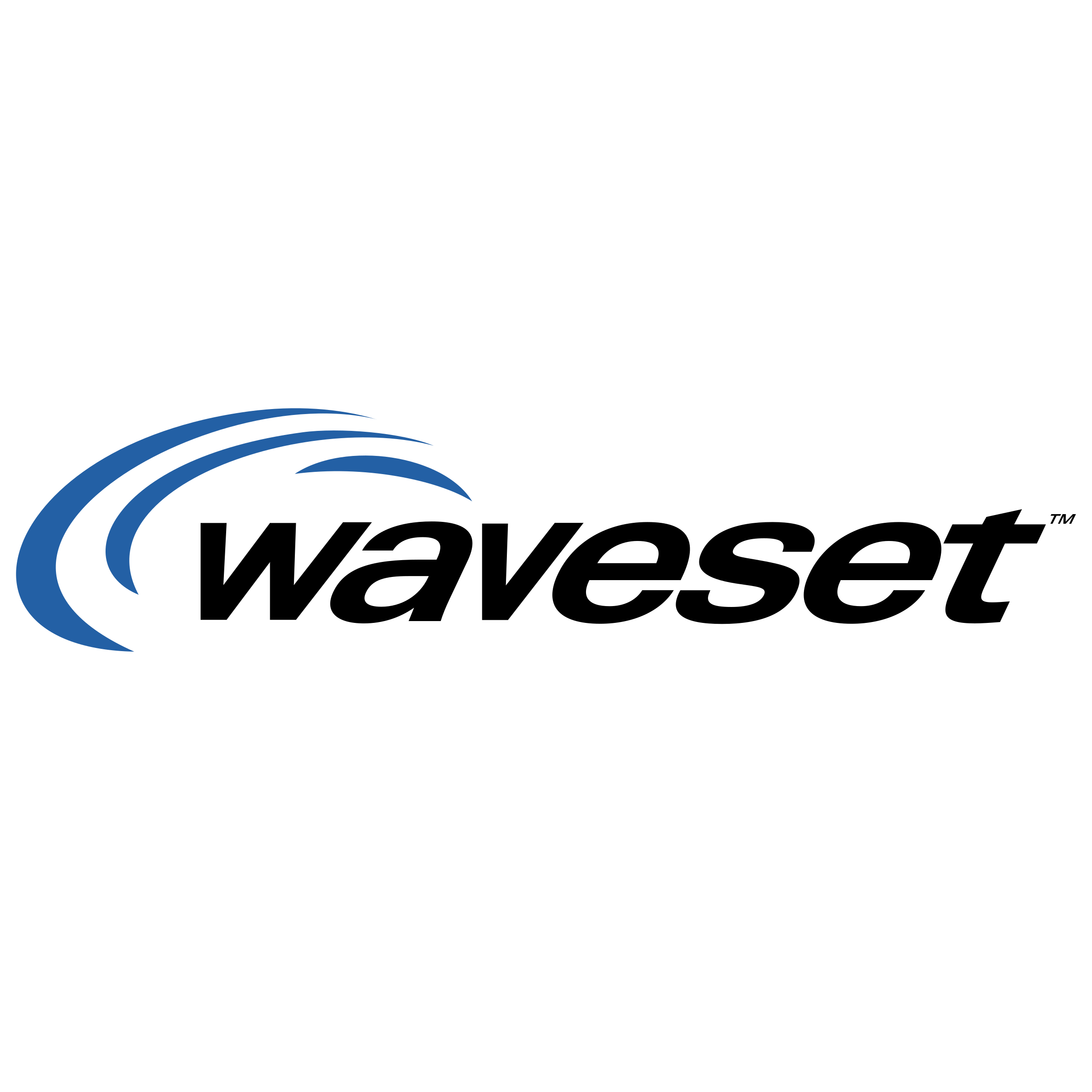Waveset Technologies Logo png transparent