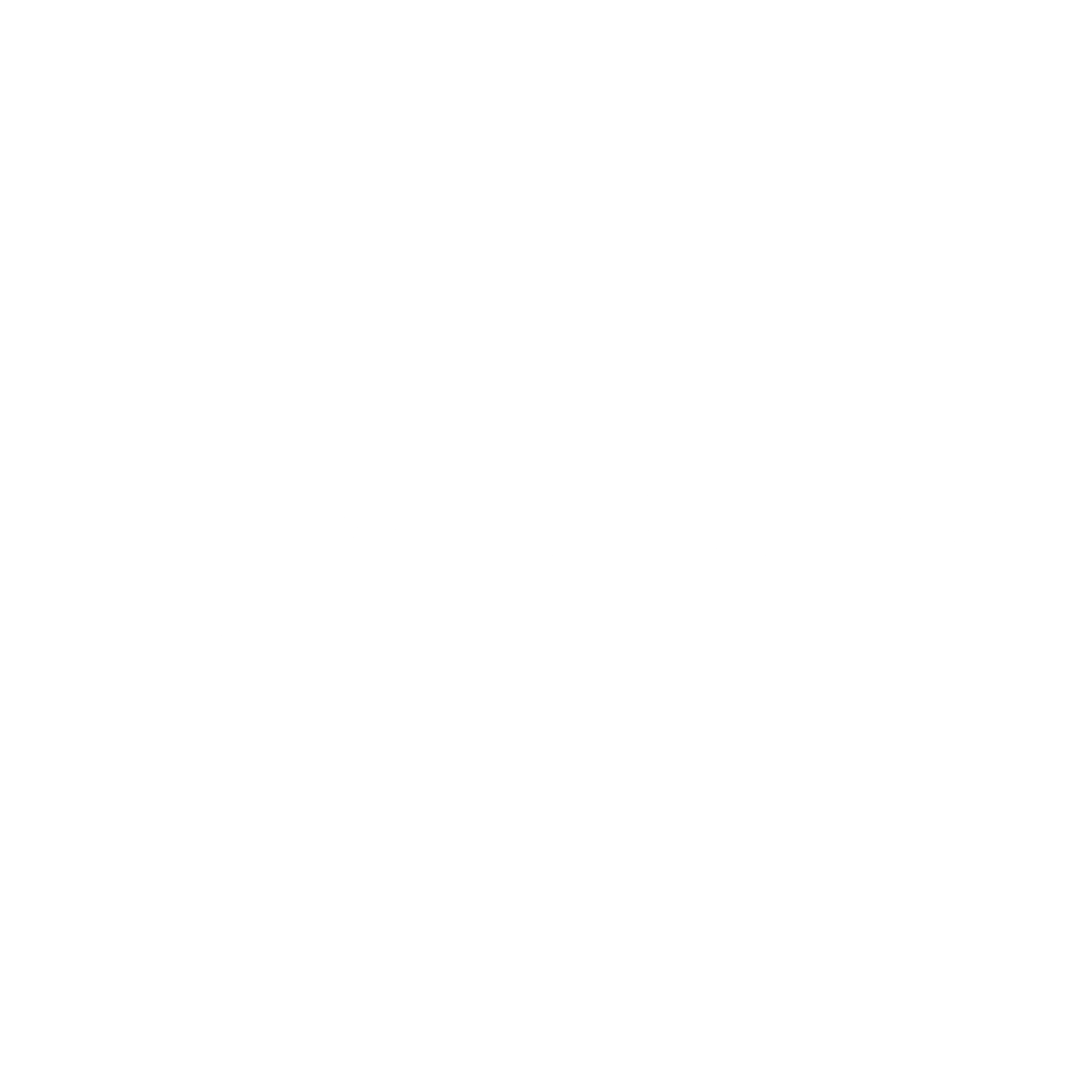 WebSite WS Logo black and white
