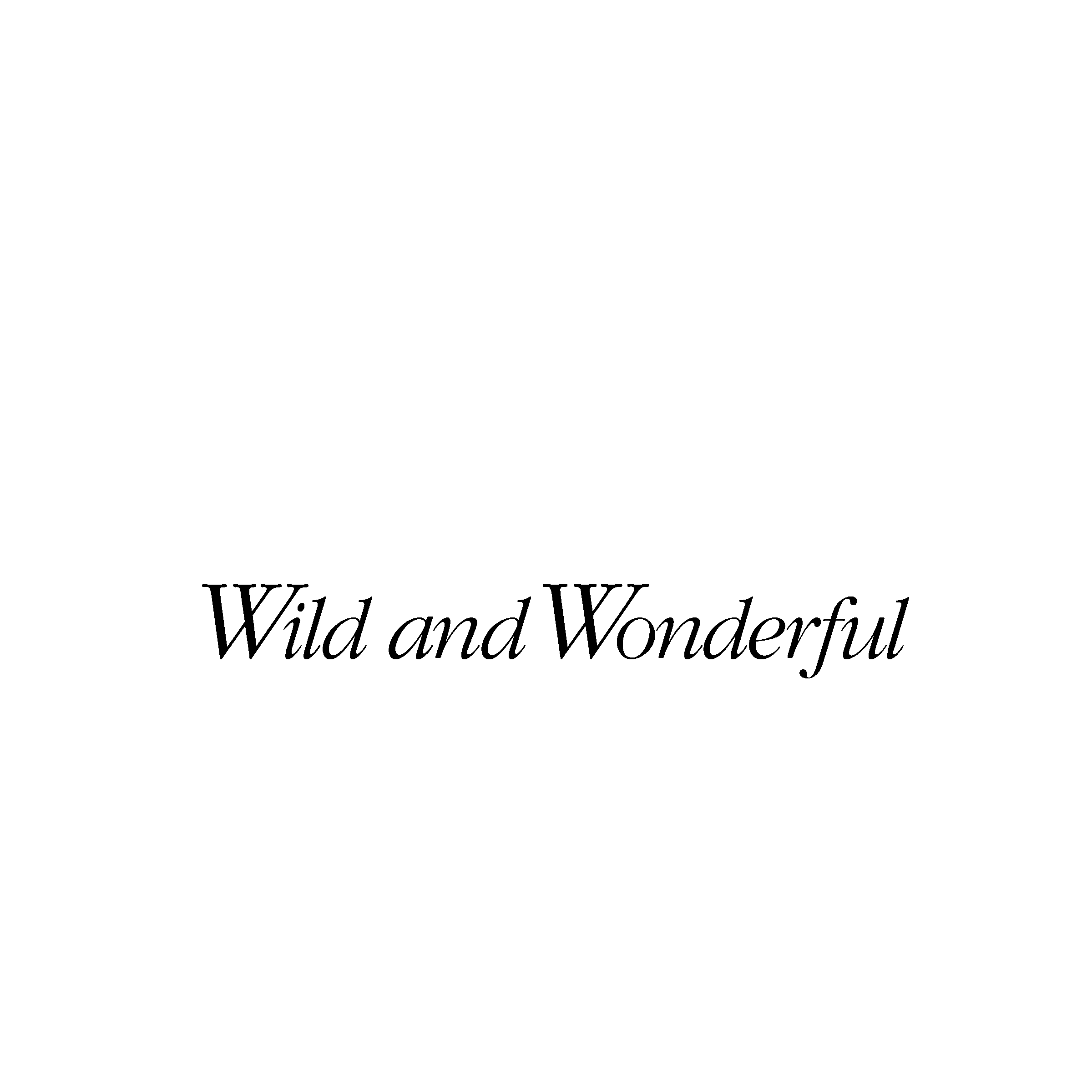 West Virginia Logo black and white