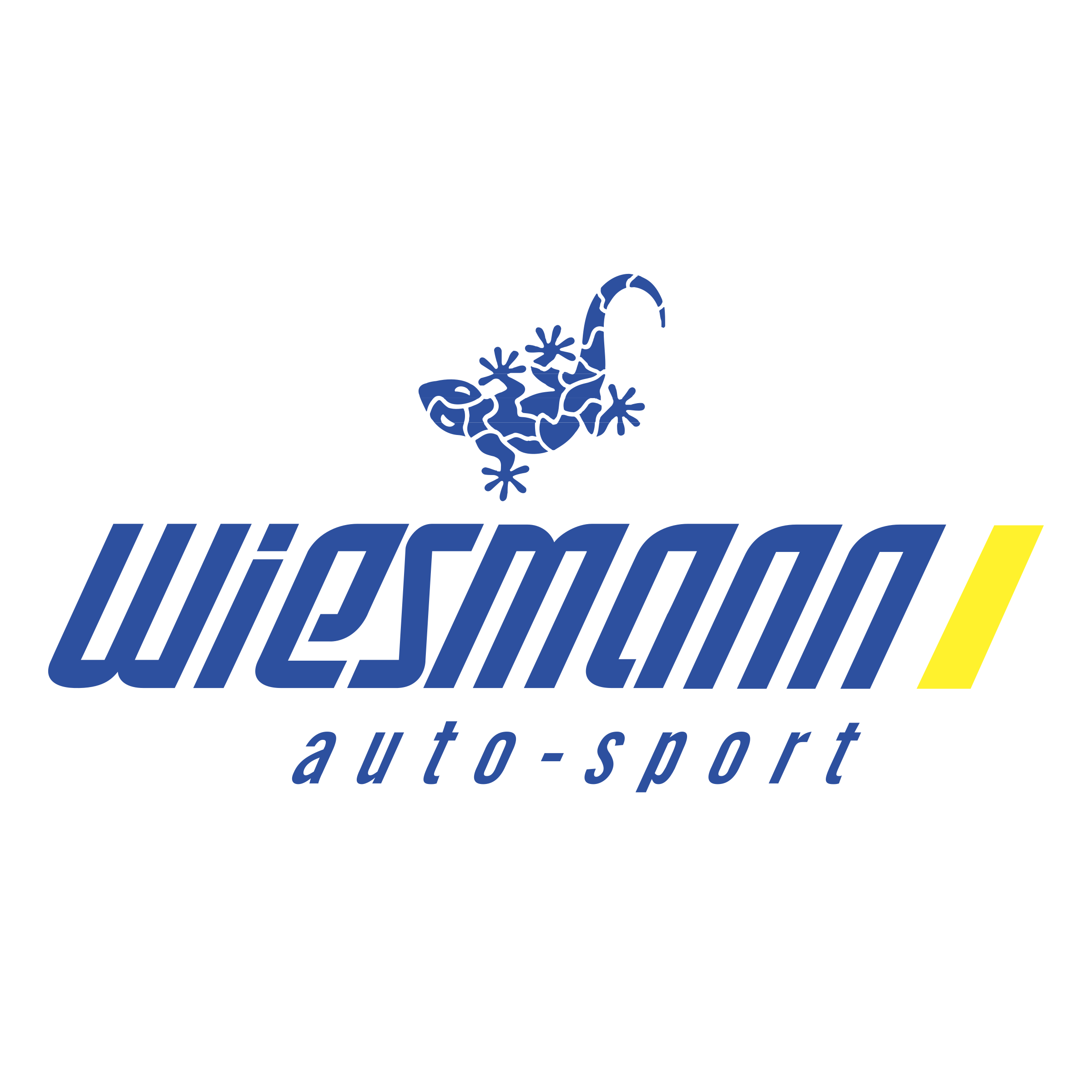 Wiesmann Logo png transparent
